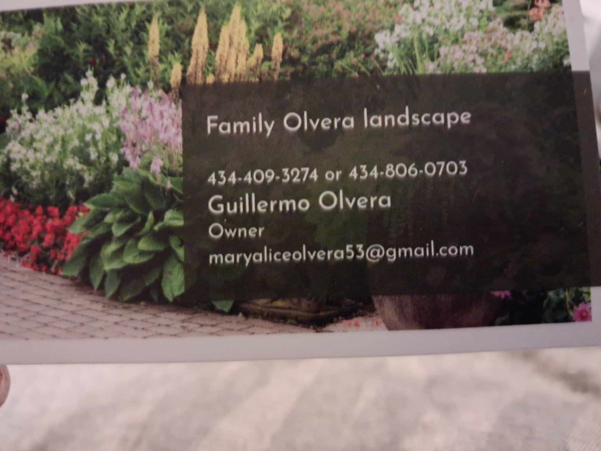 Family Olvera landscape logo