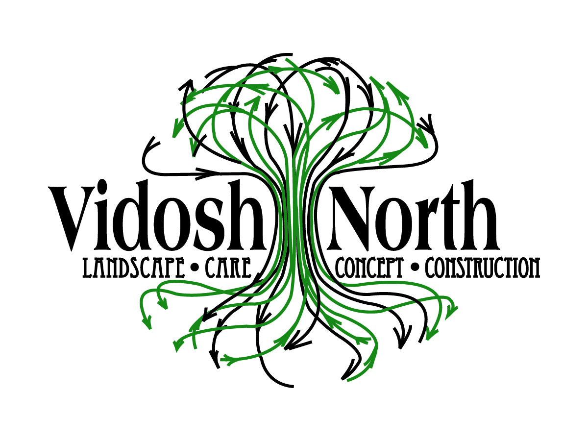 Avatar for Vidosh North