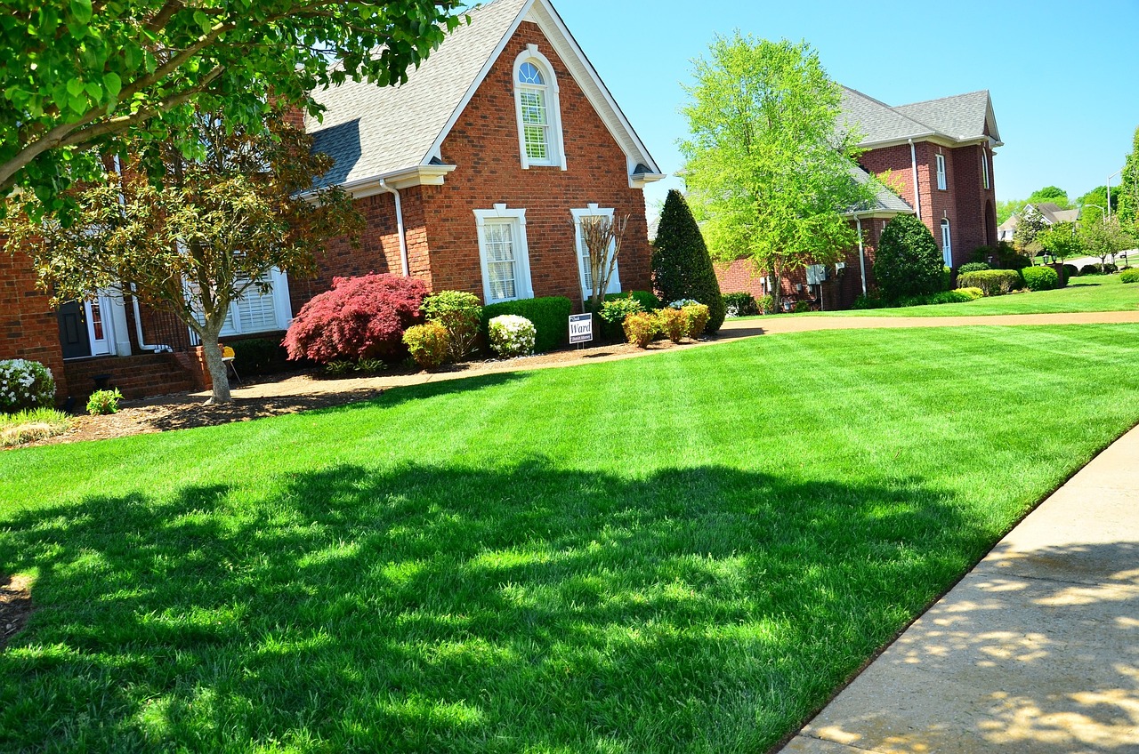 McCoy's Lawncare Service logo