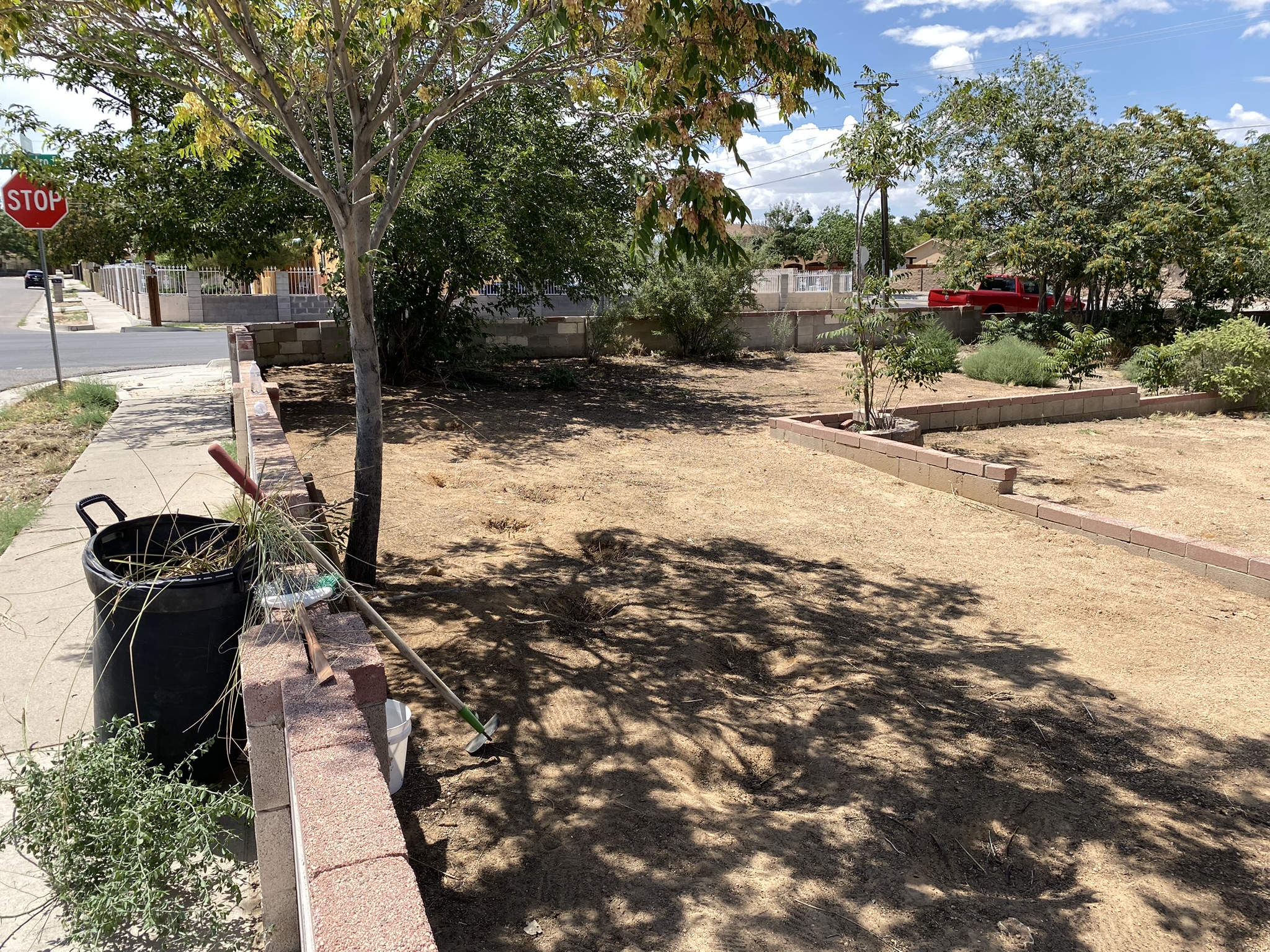 Avatar for Brayan’s