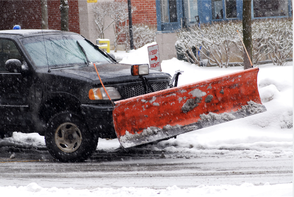 Polar Snow and Lawn logo