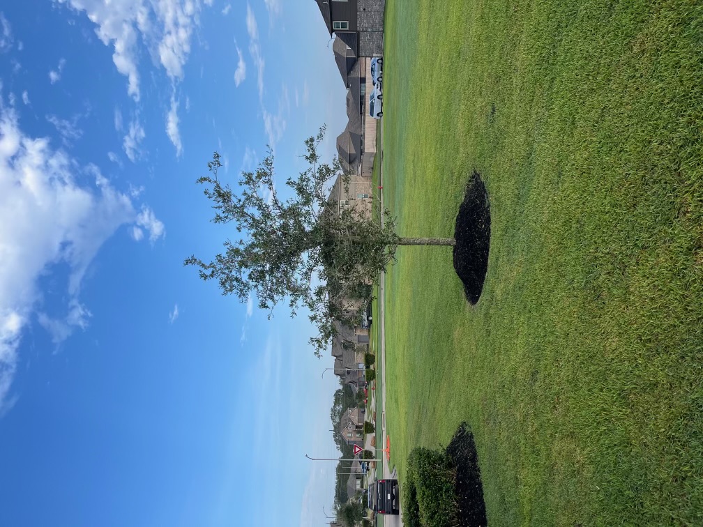 Ramirez lawn service logo