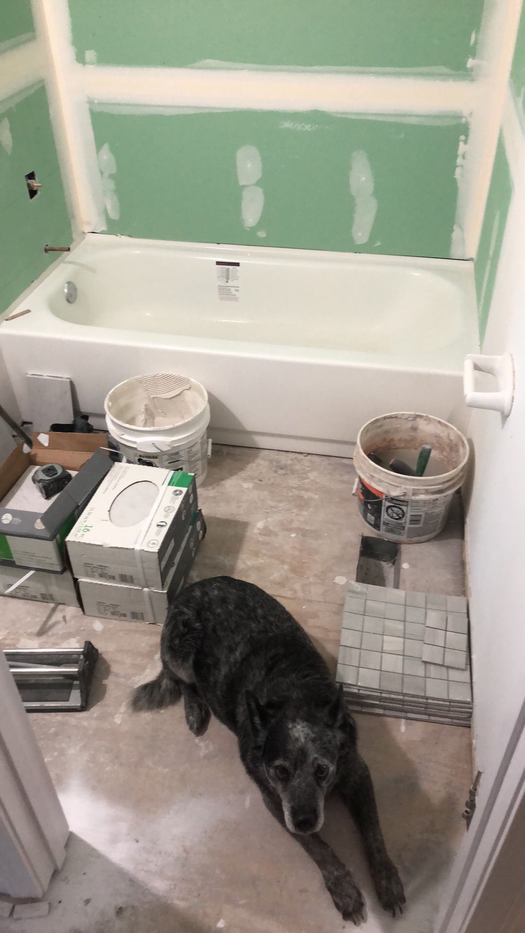 Avatar for King construction