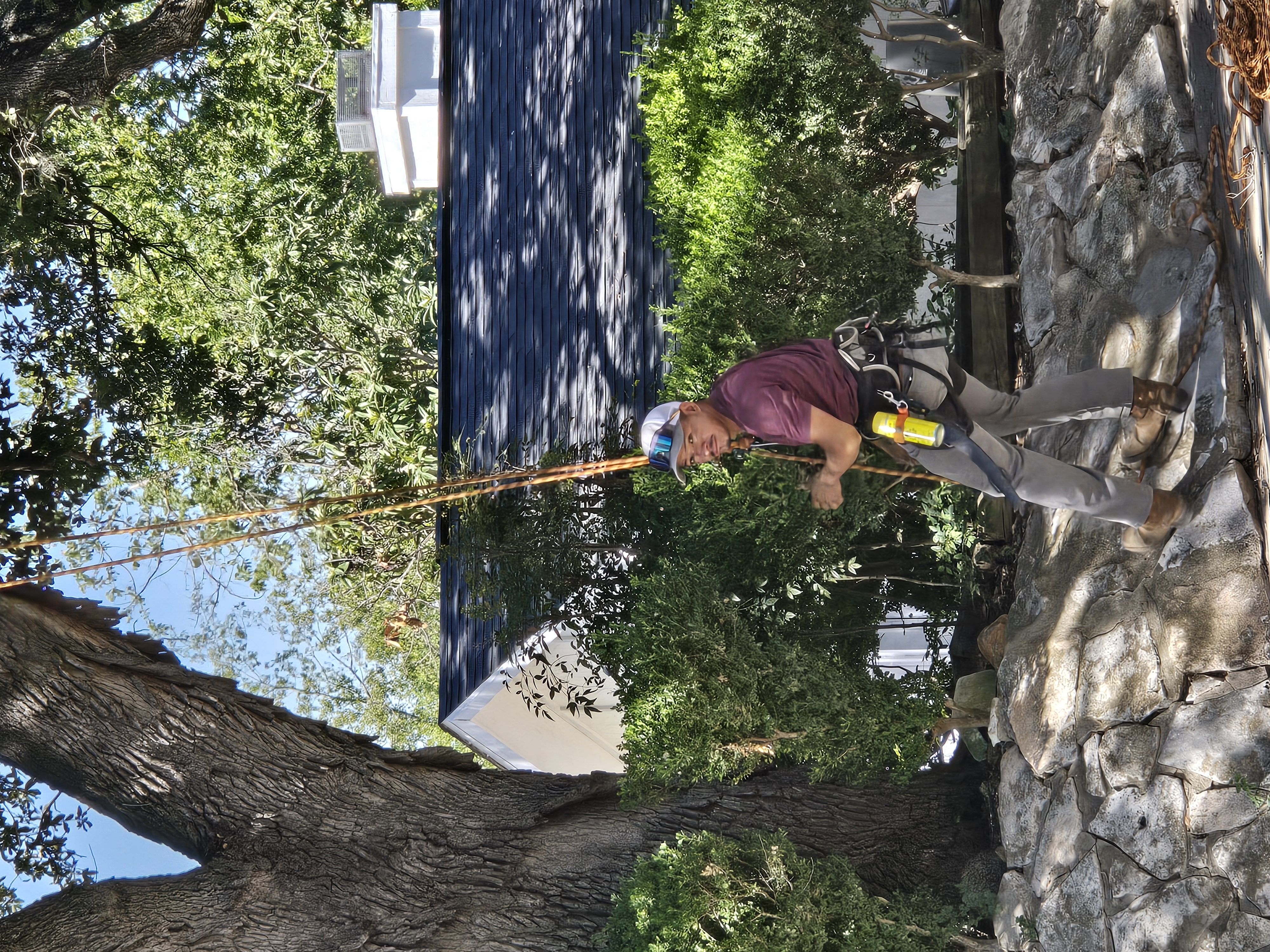 Avatar for Elvis Tree Service