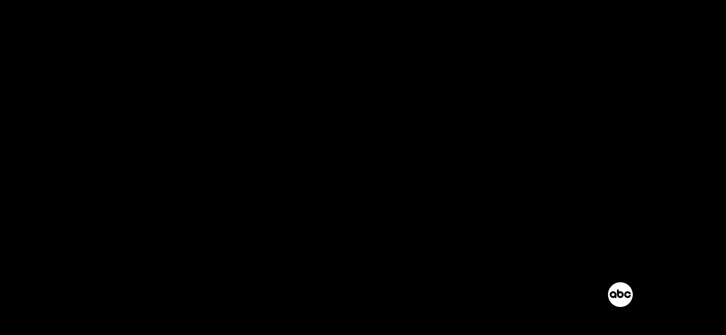 Torres Window Cleaning logo
