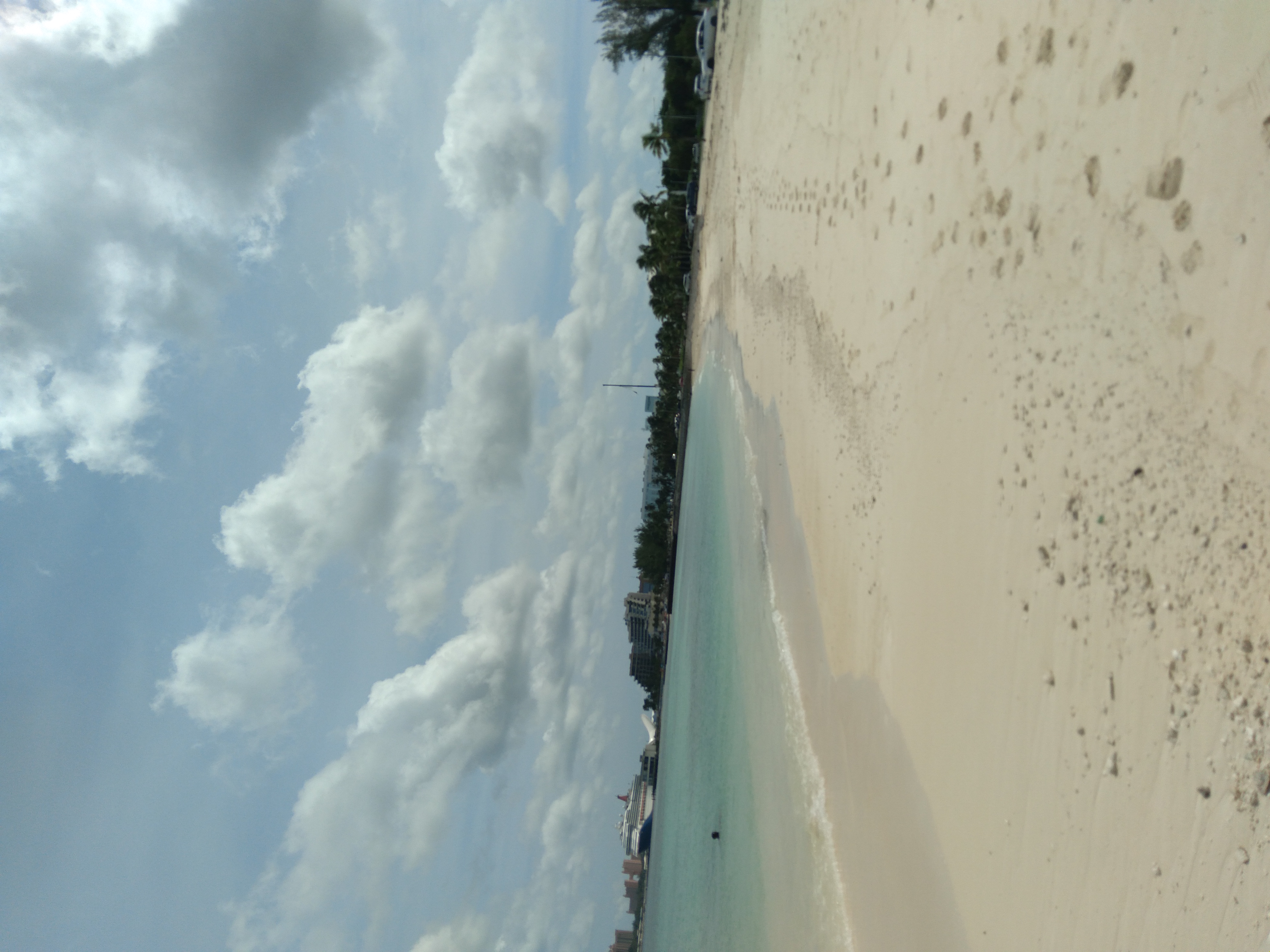 Avatar for Picture perfect painting