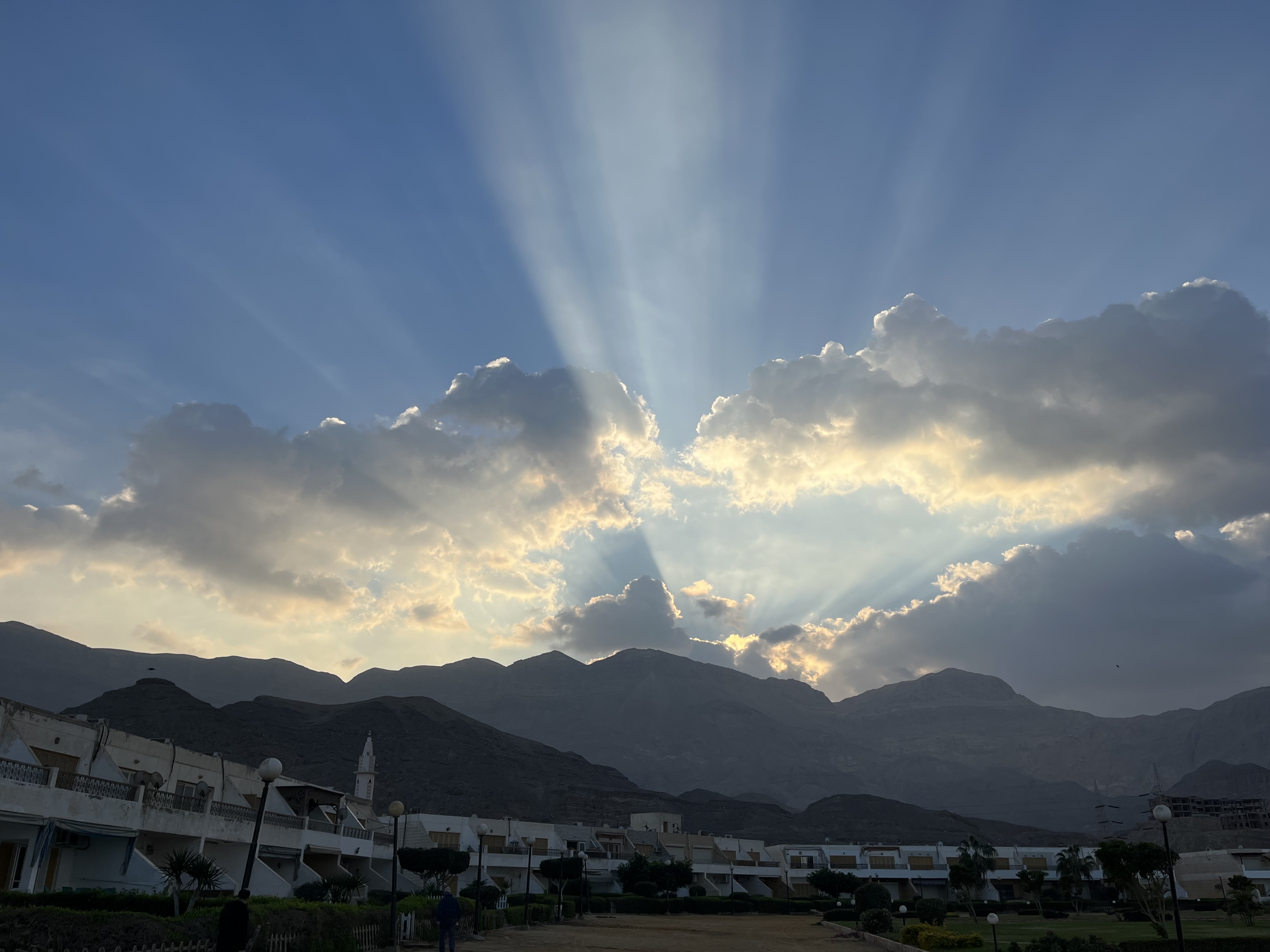 Avatar for Red Sea Trading Company