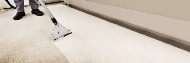 Avatar for Carpet Cleaning & More