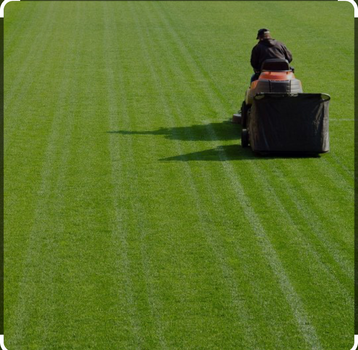 Avatar for Nj landscaping Bros