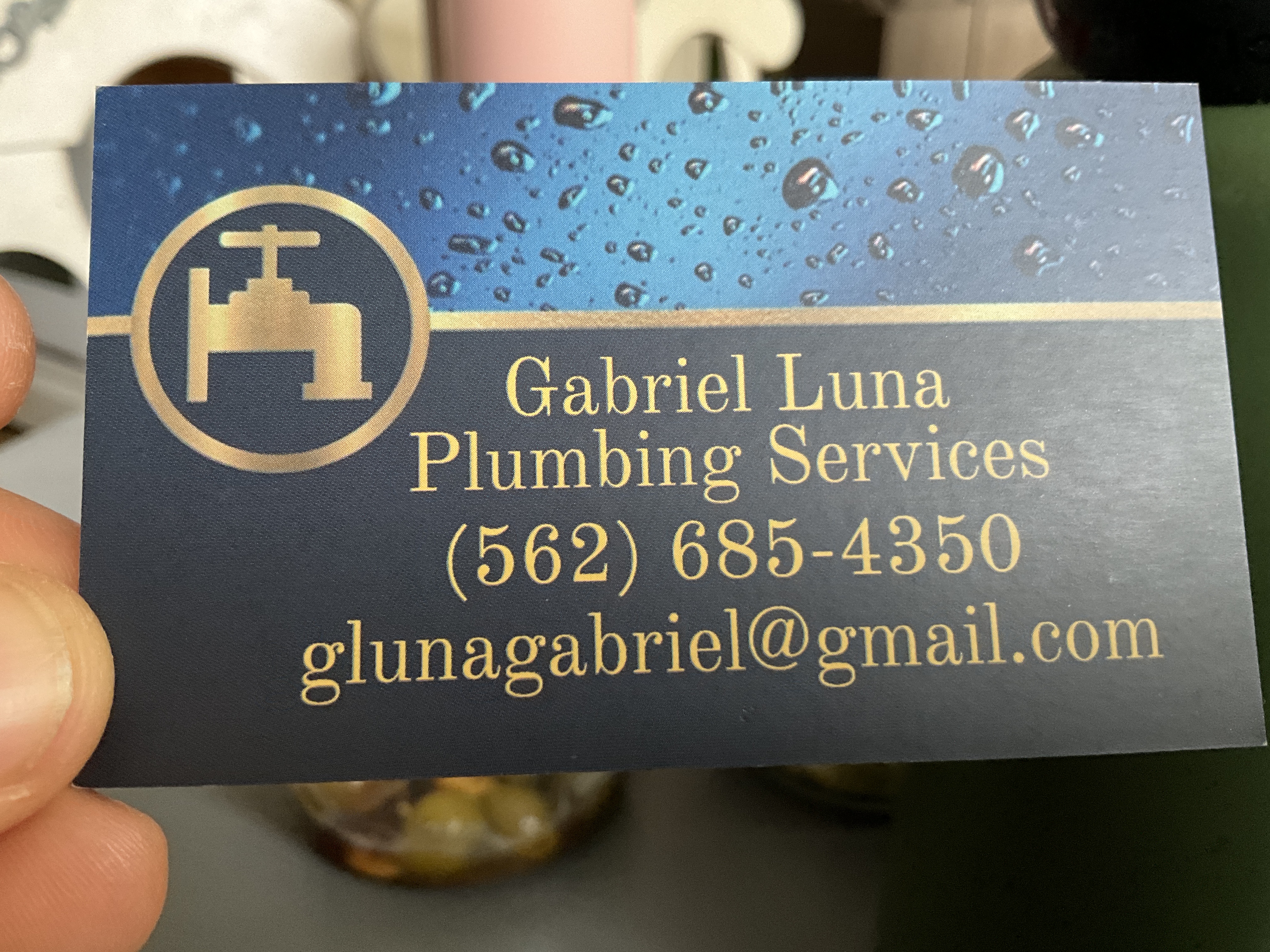 Gabriel Luna Plumbing Services logo