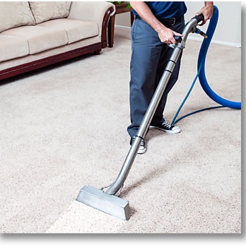 Morsy carpet steam cleaning logo