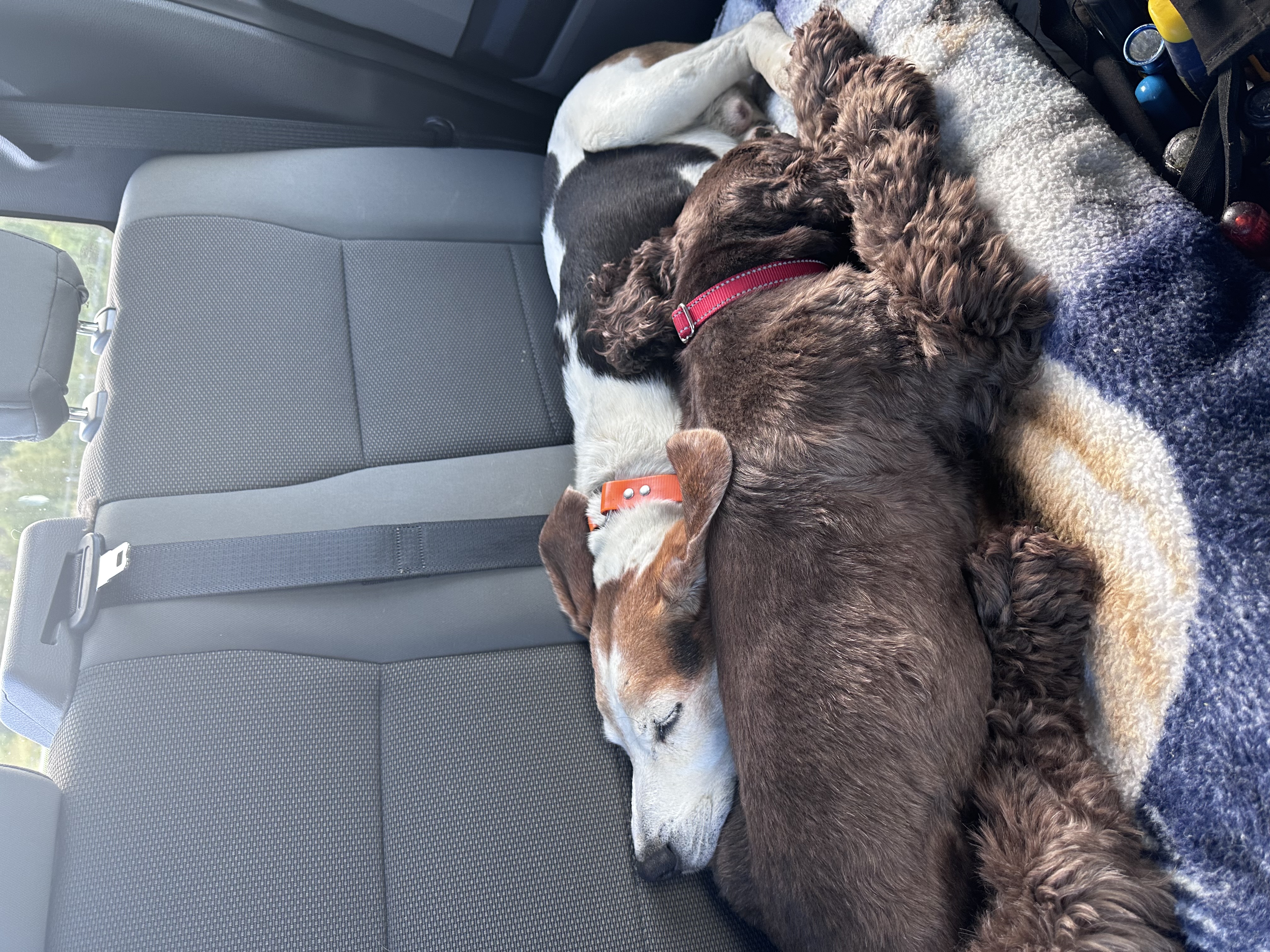 Avatar for Catherine Skewes