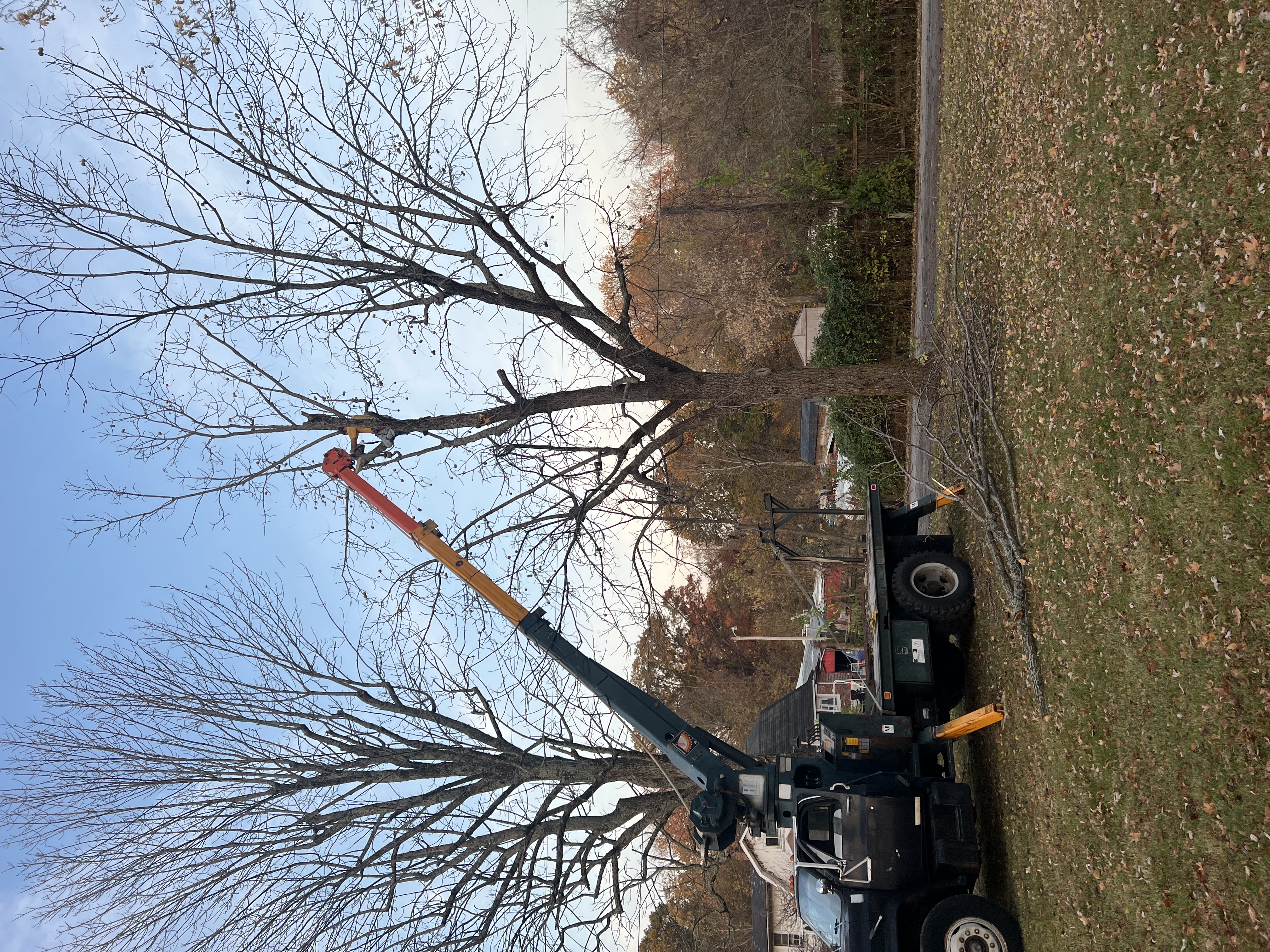 All Clean Land Clearing and More LLC logo