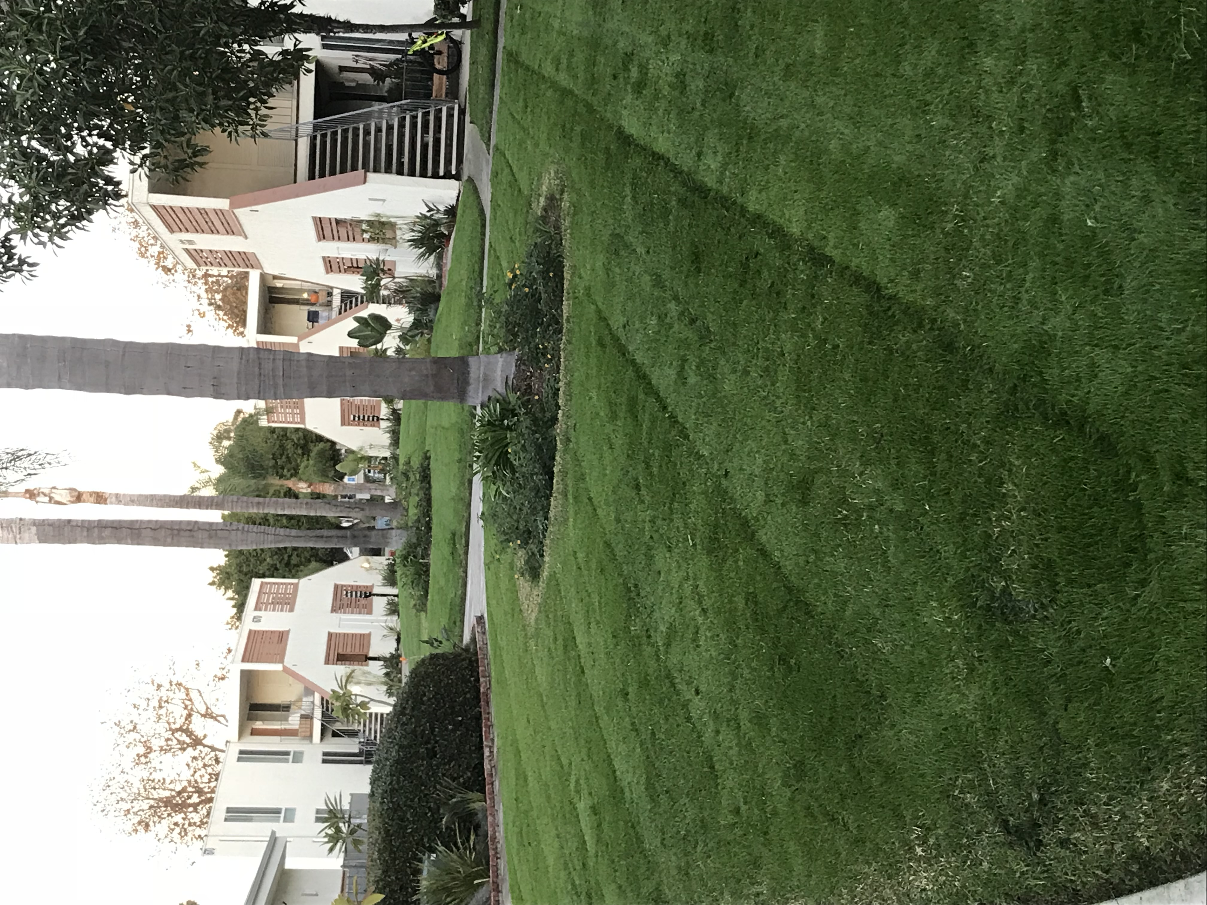 Avatar for Juans Landscaping