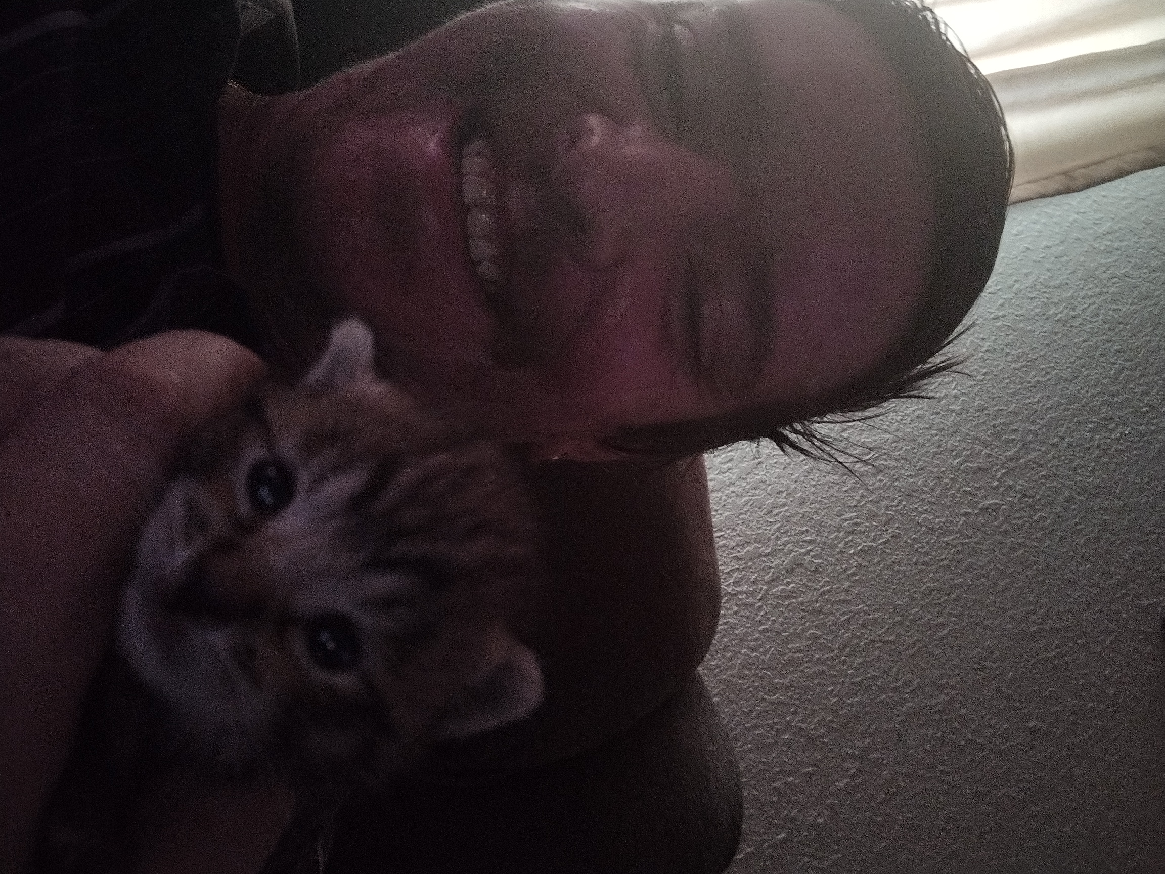 Avatar for Sonixelectronix