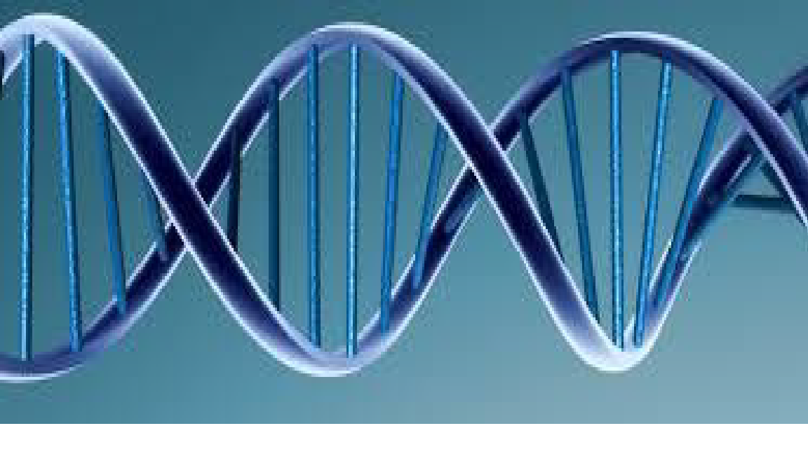DNA Technical Solutions logo