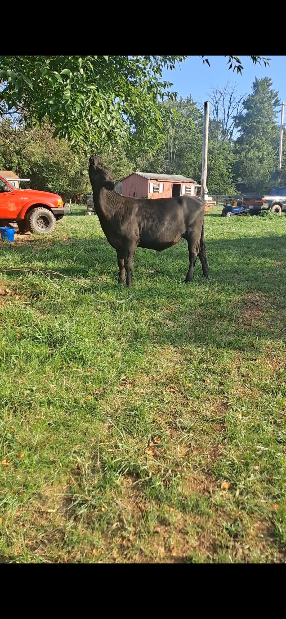 Bar-20 Ranch and Farm Services logo