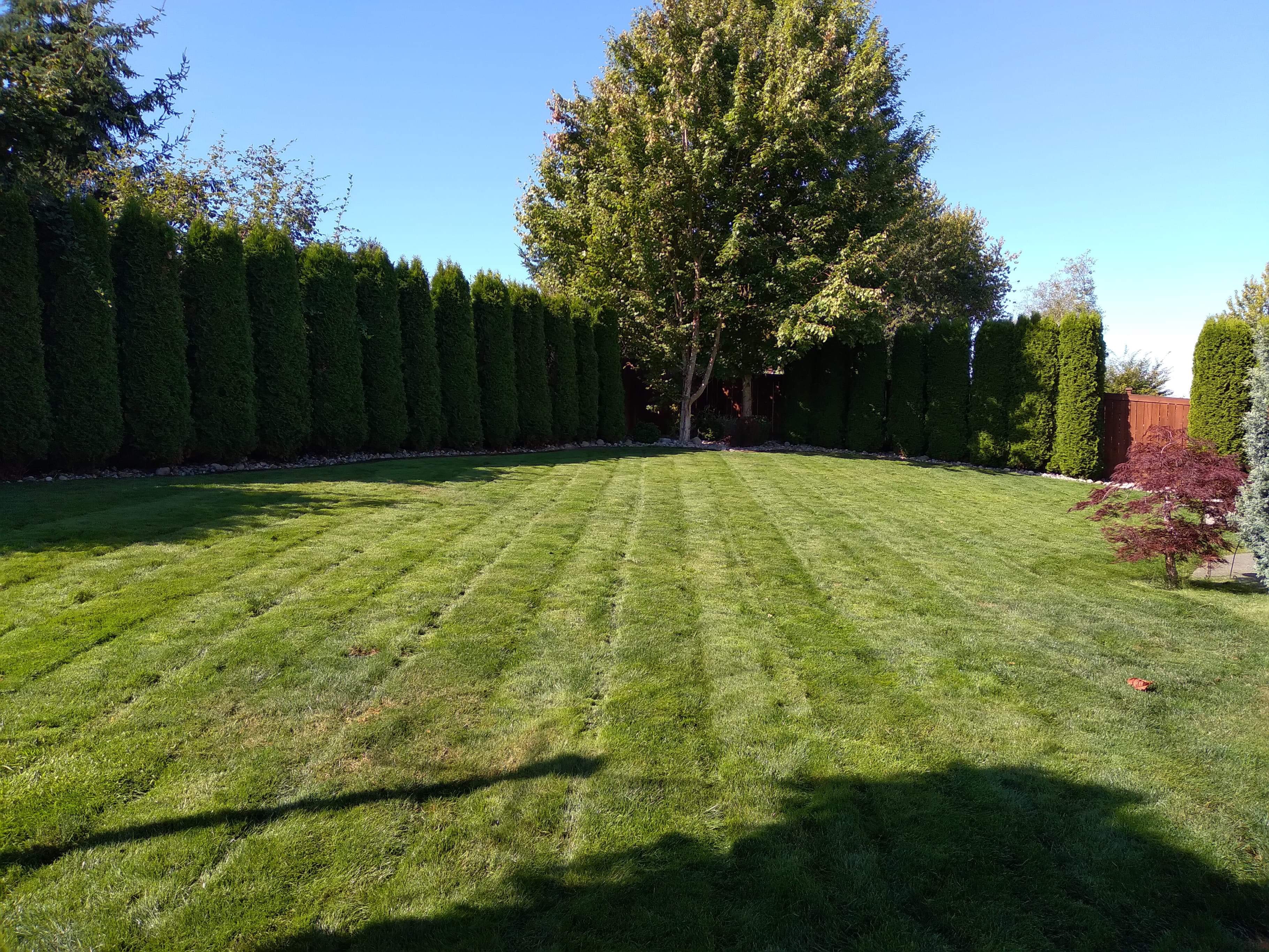 Avatar for thunderbird Lawncare