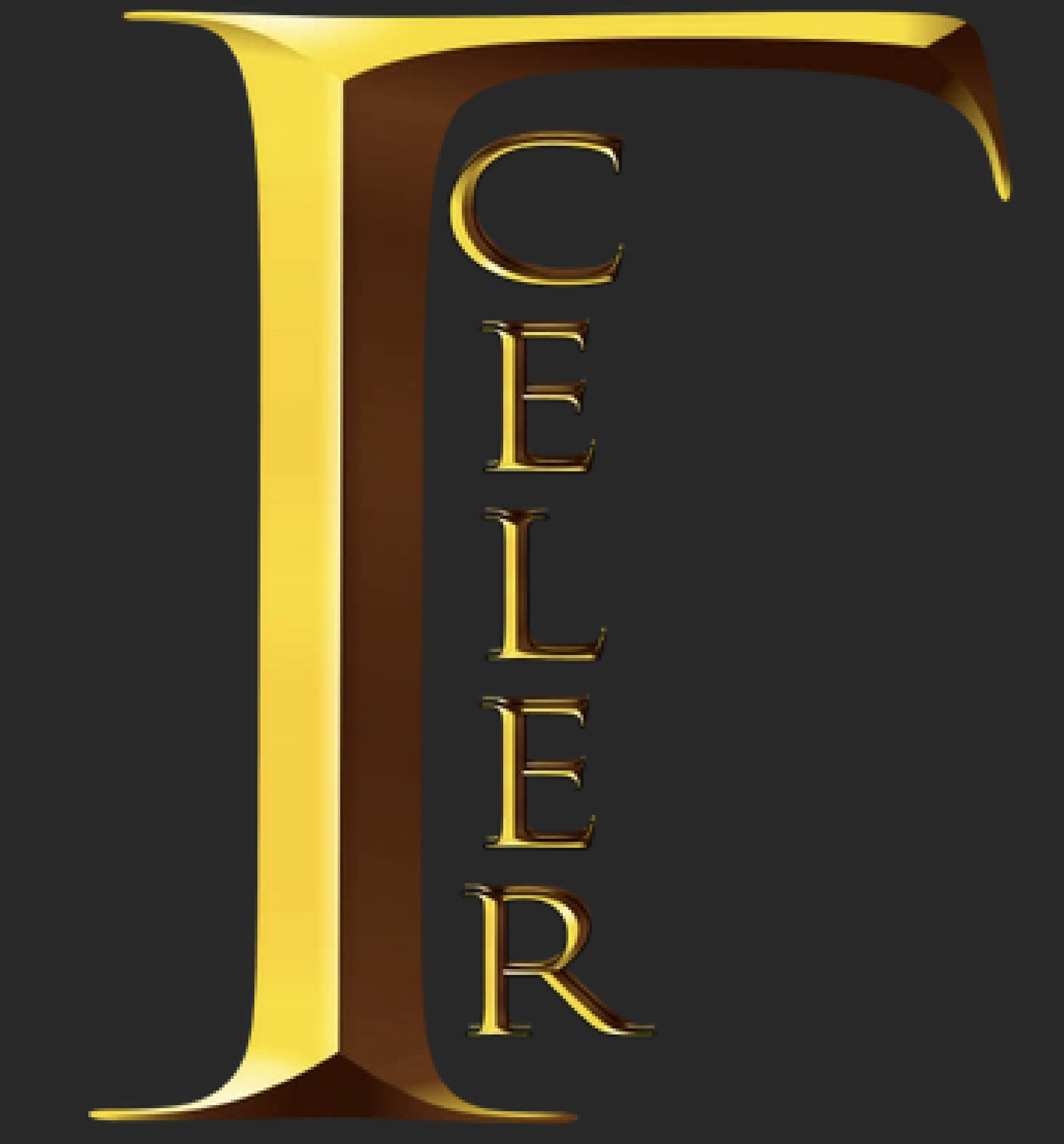 CELER TRUCKERS LLC logo
