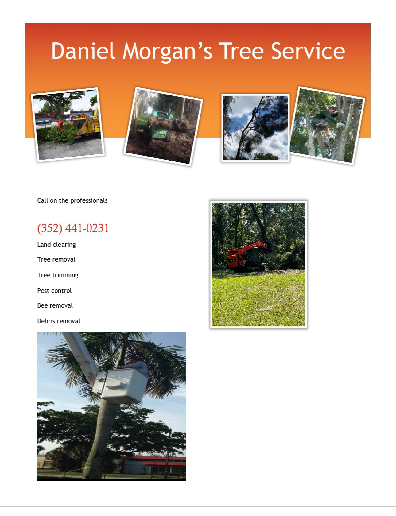 Avatar for Daniel Morgan’s Tree Service LLC