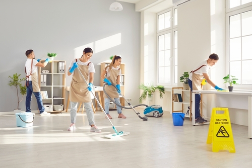 Hyssop Cleaning logo