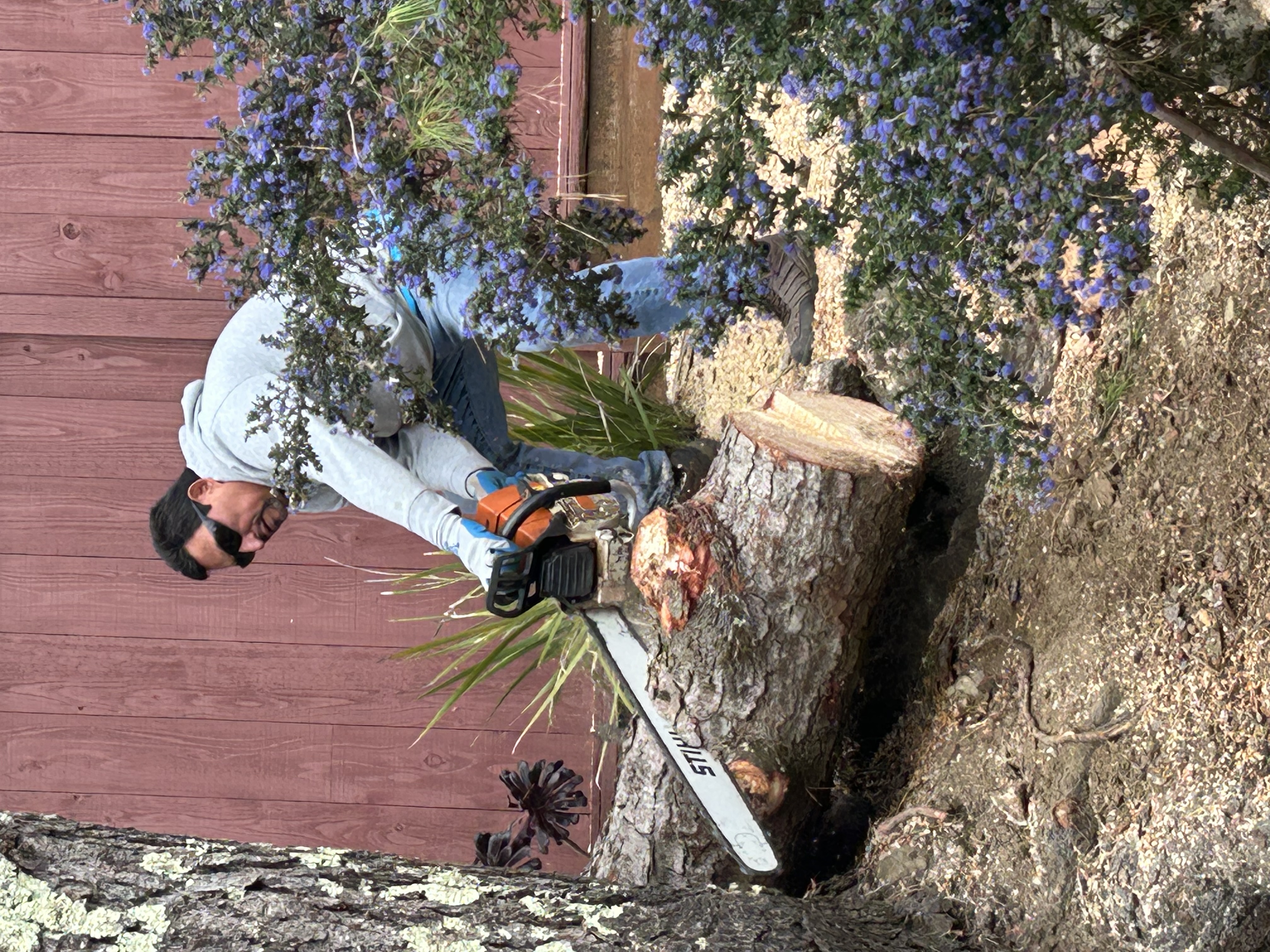 Victor's Tree Service logo