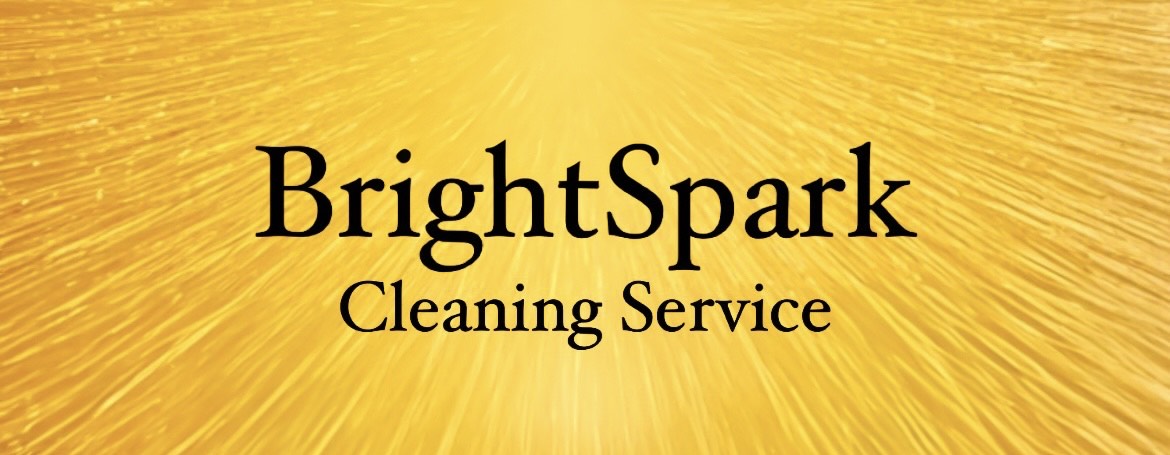 Bright Spark Clean logo