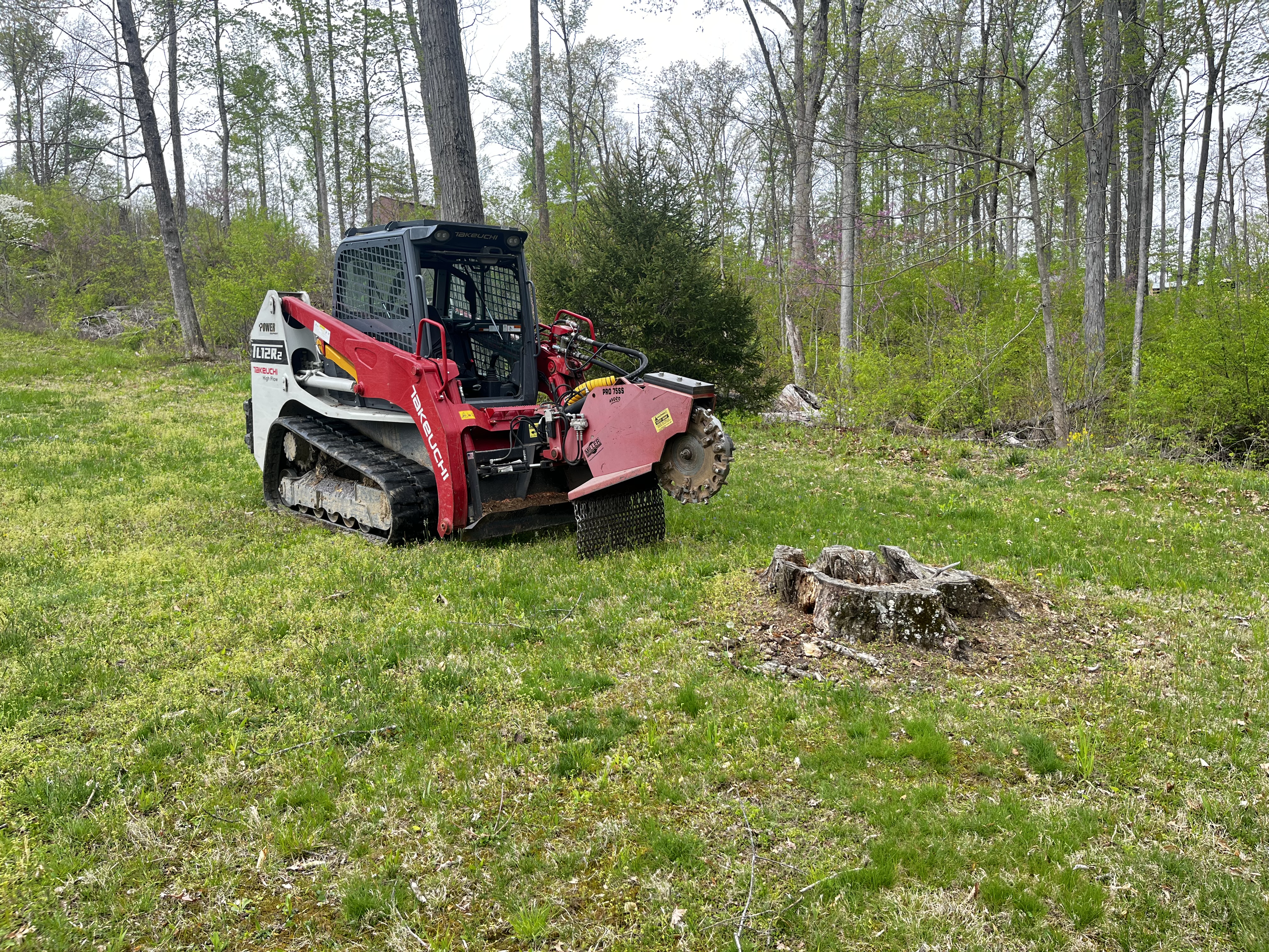 Wards Tree Service logo