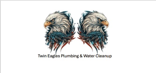Twin Eagles Plumbing and Water Restoration logo