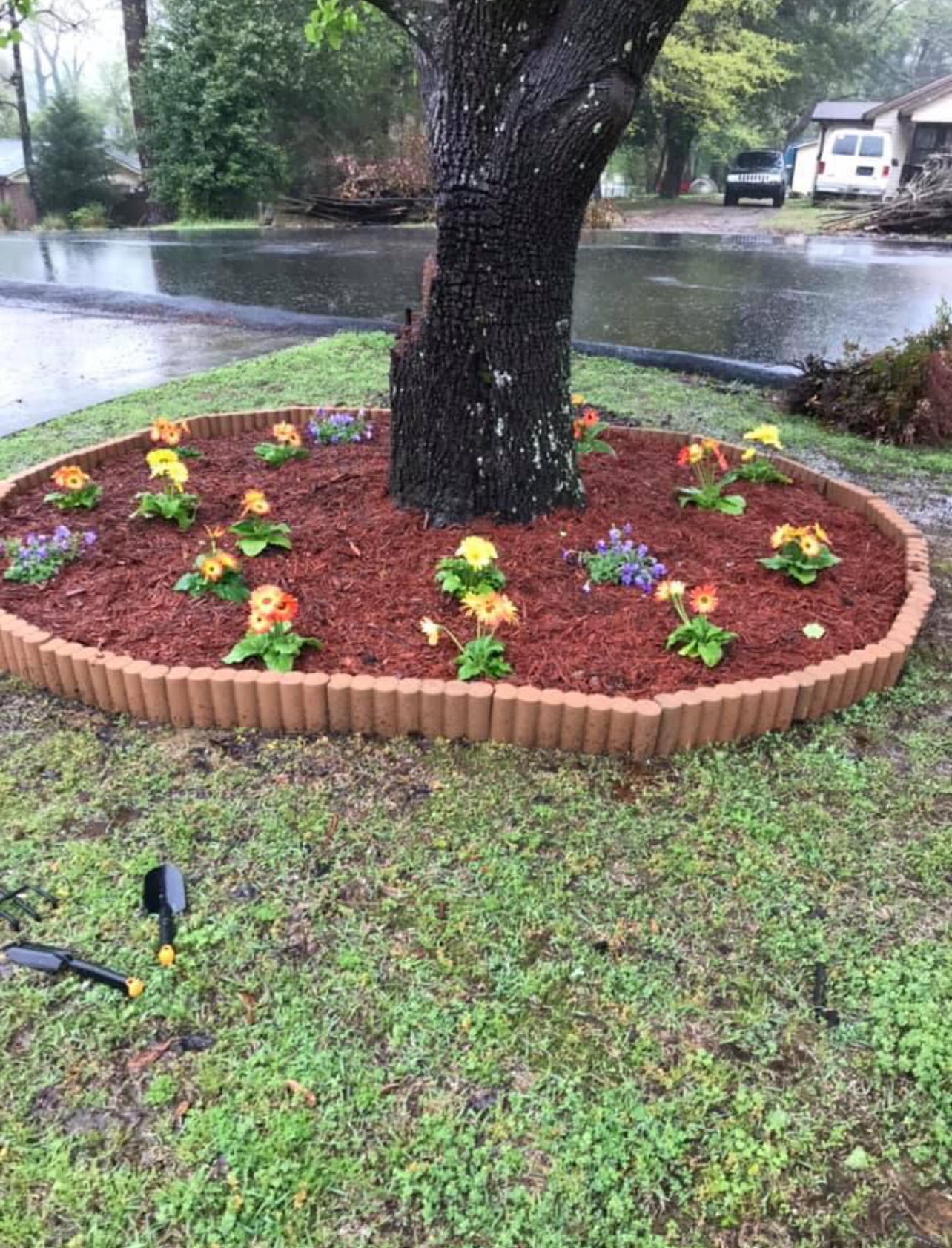 Manns lawn and landscaping logo