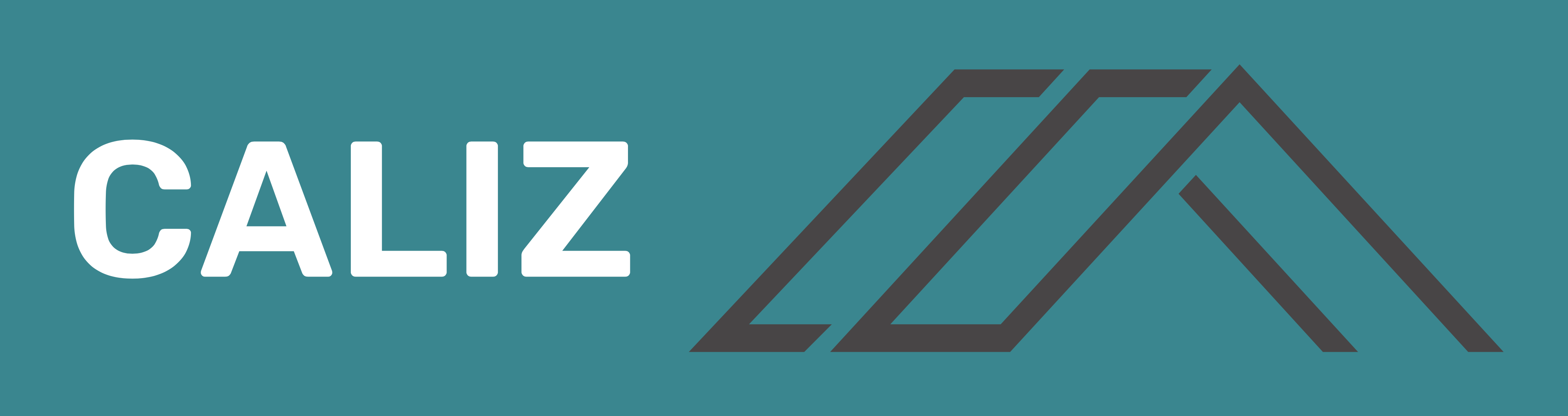 Avatar for Caliz construction