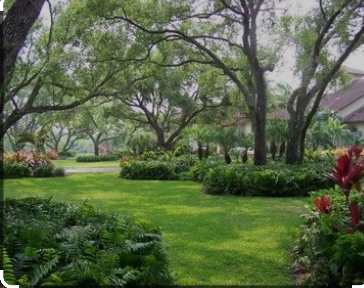 Ordonez landscape, llc logo