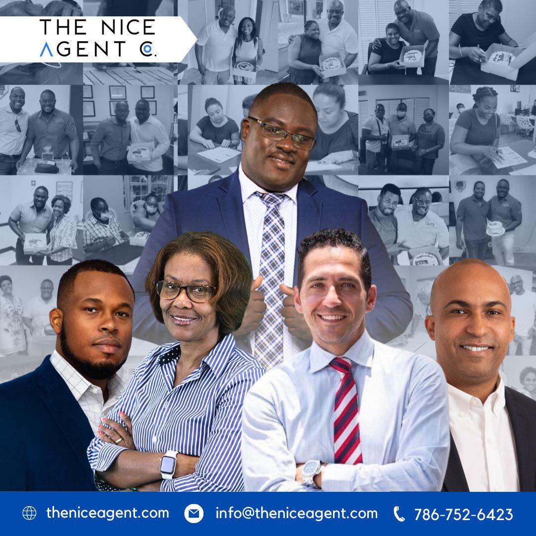 Avatar for The Nice Agent