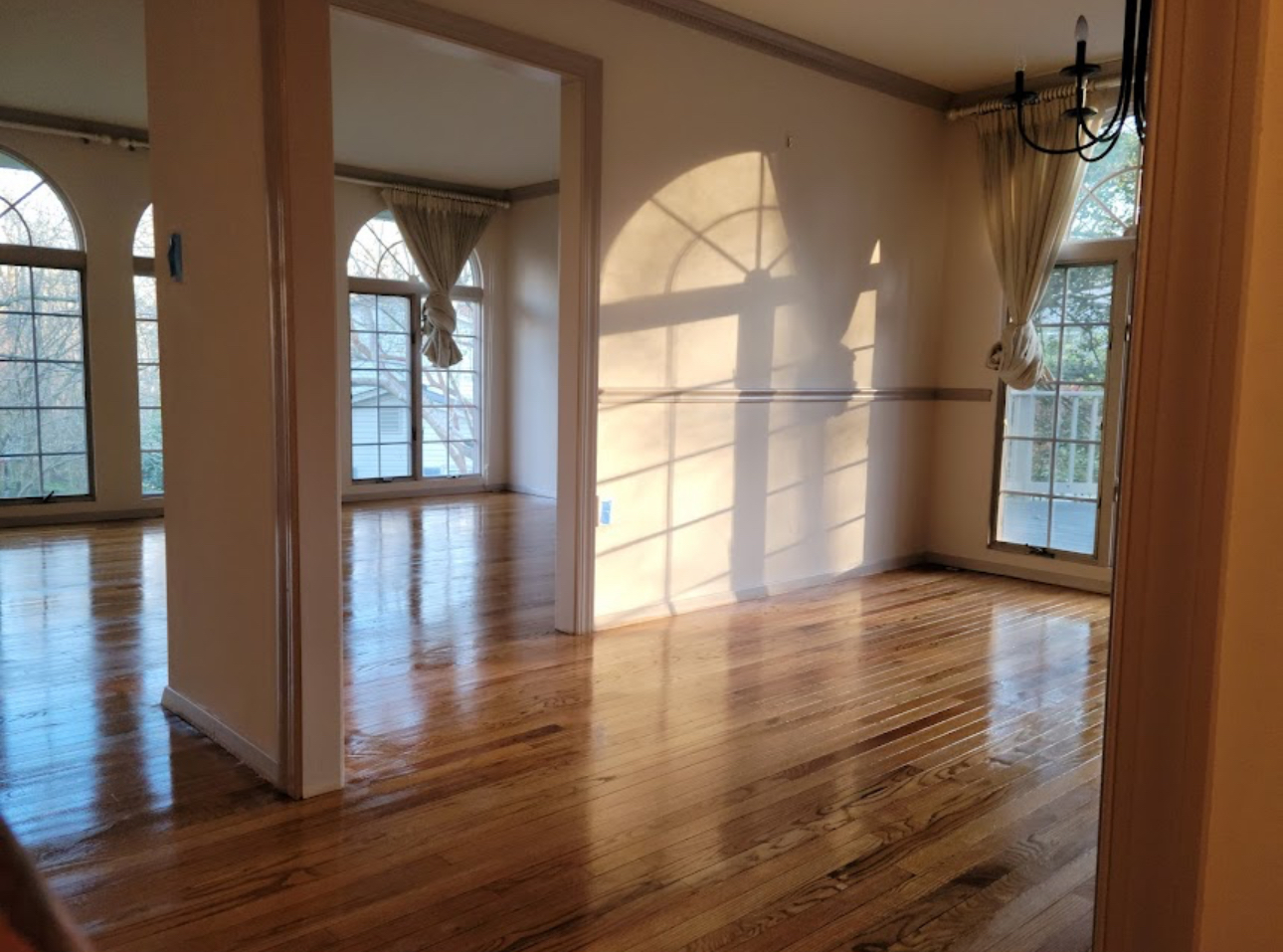 Avatar for Antonio Flooring LLC