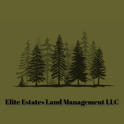 Avatar for Elite Estates Land Management LLC
