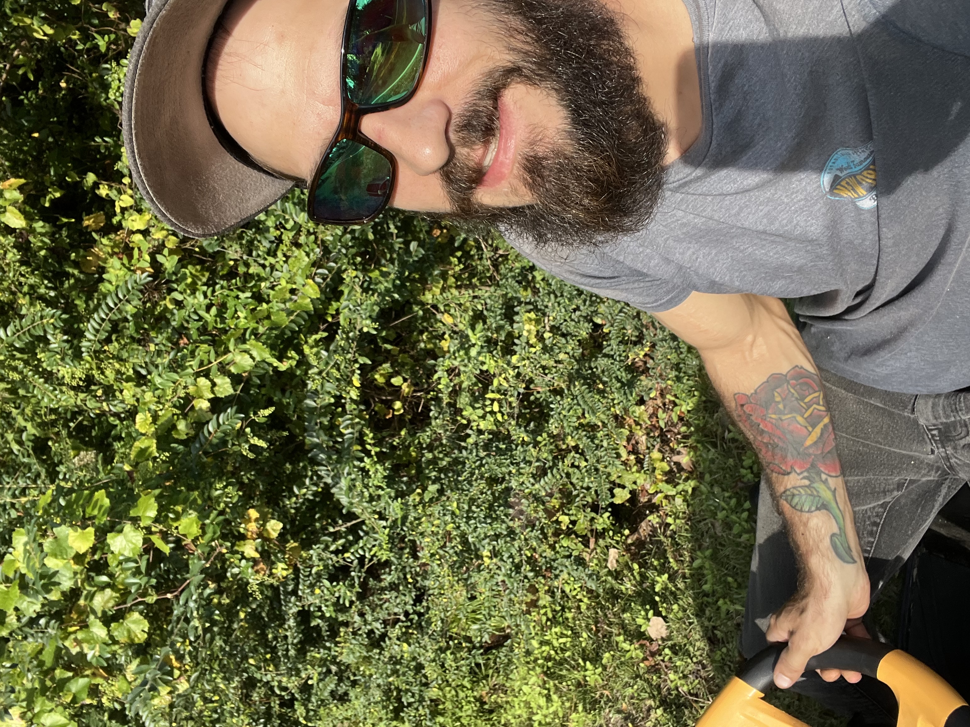 Avatar for Dave’s Lawns