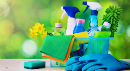 Reset Cleaning  logo