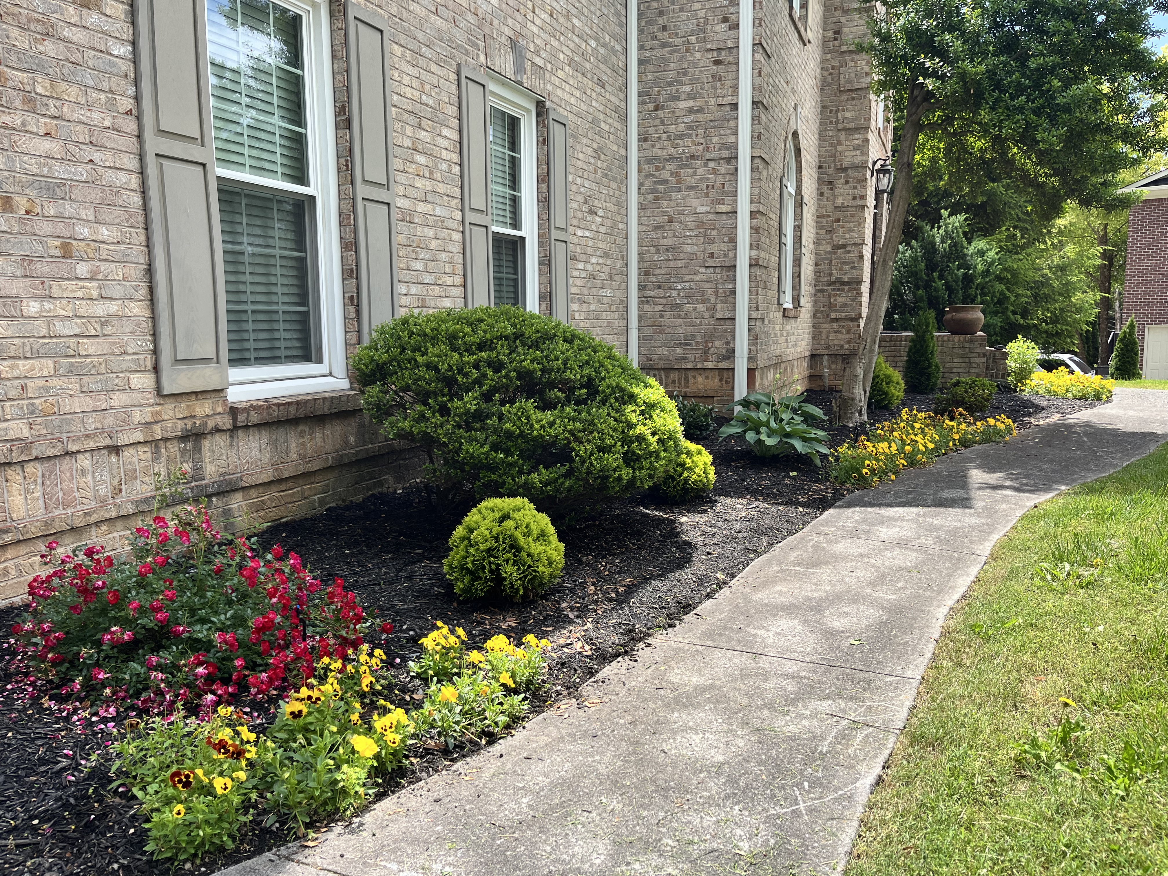 Avatar for River Birch Landscaping