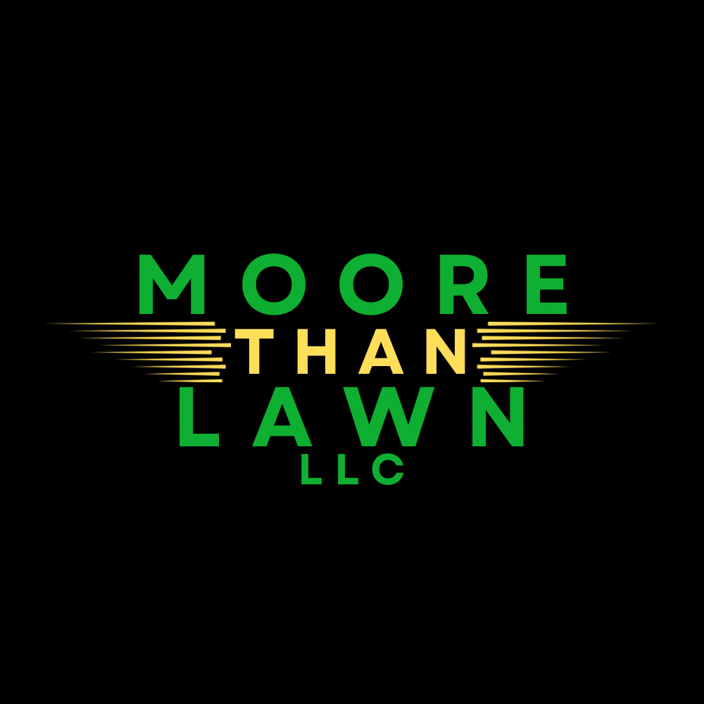 Moore Than Lawn LLC logo