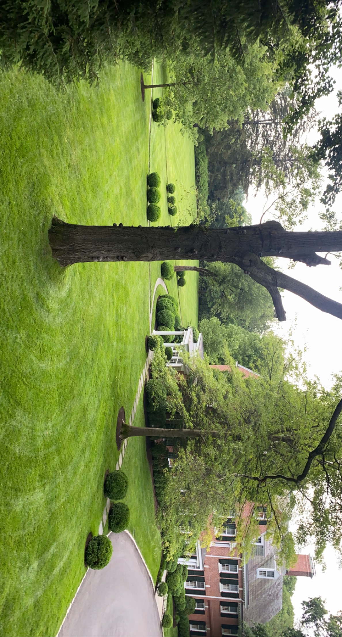 Avatar for Rodríguez Garden and Stone