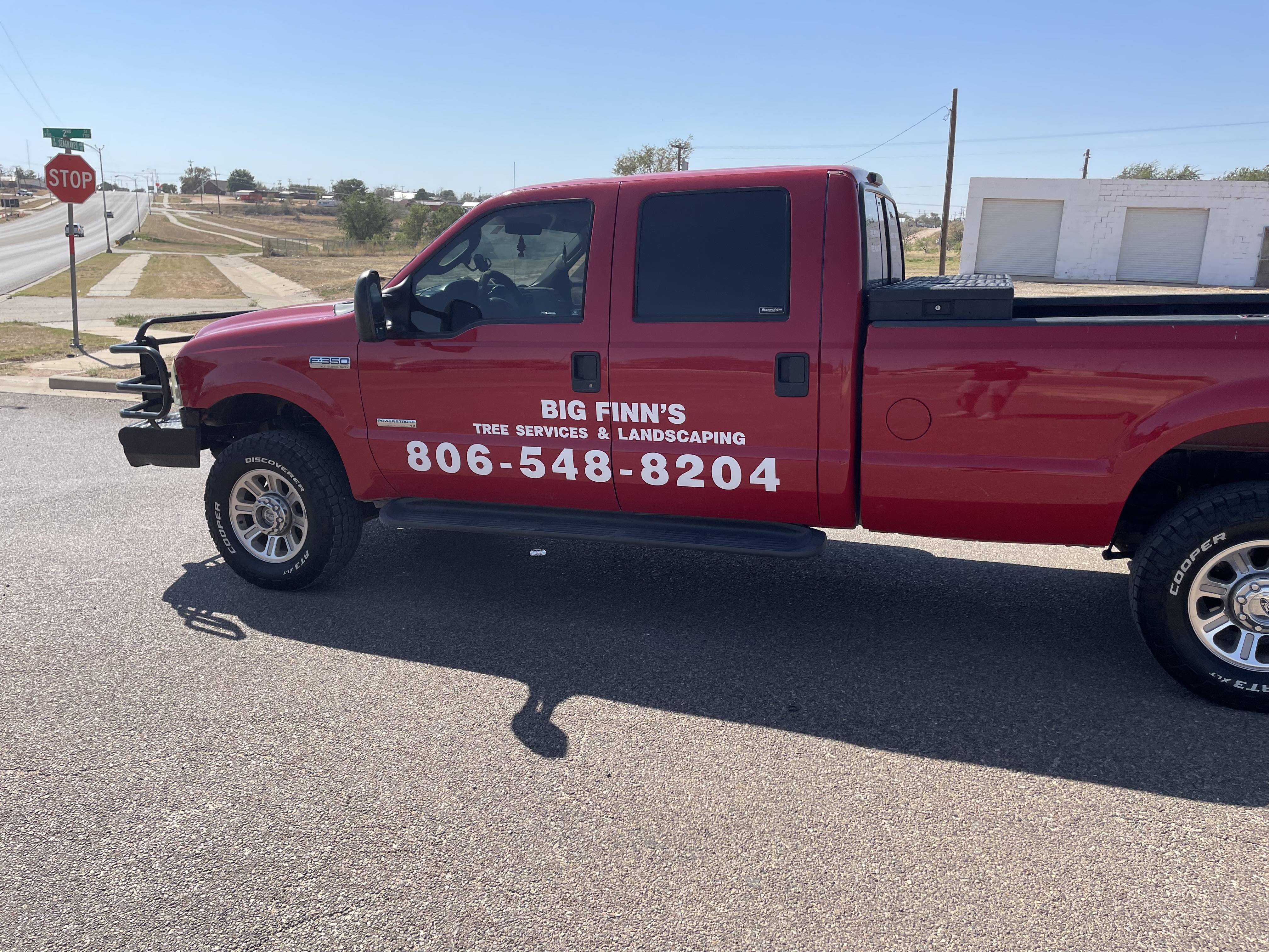 Big finn's Tree service & Landscaping logo