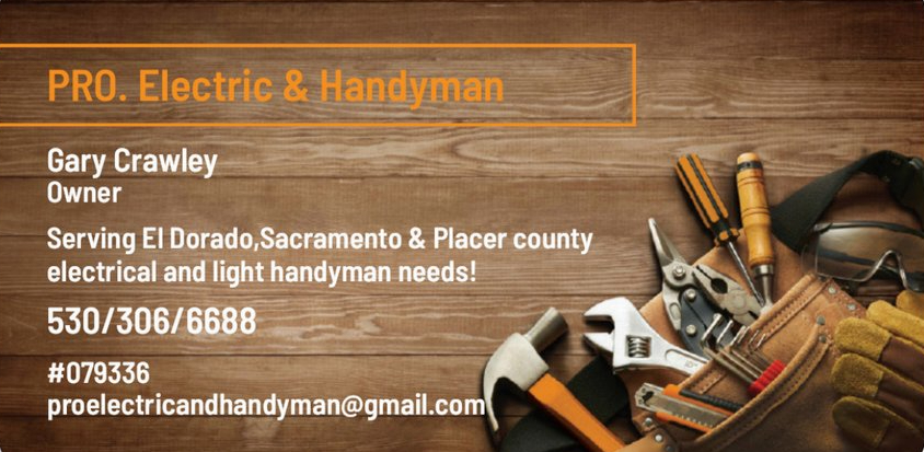 Pro. Electric & Handyman logo