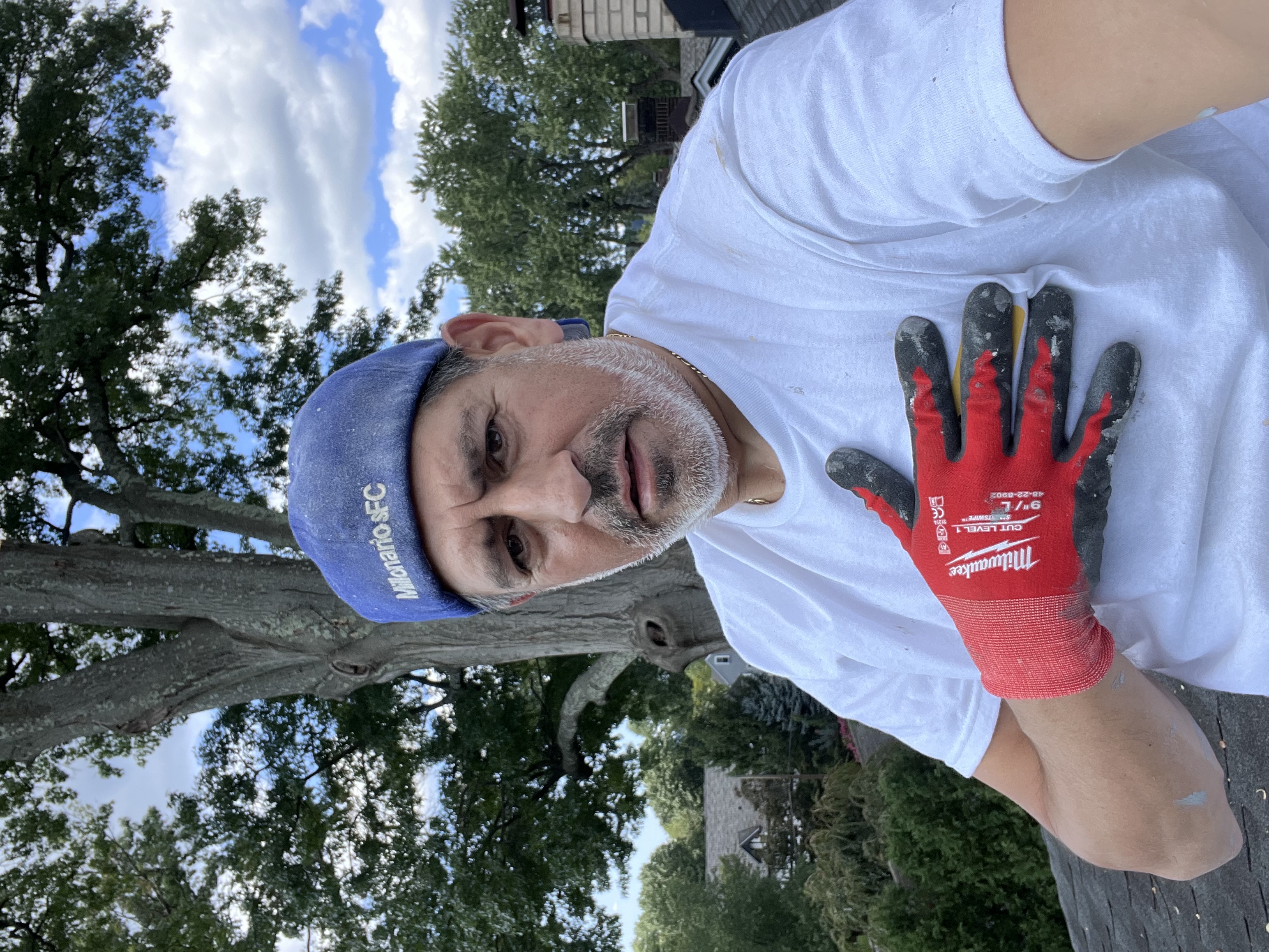 Avatar for Nino’s USA painting