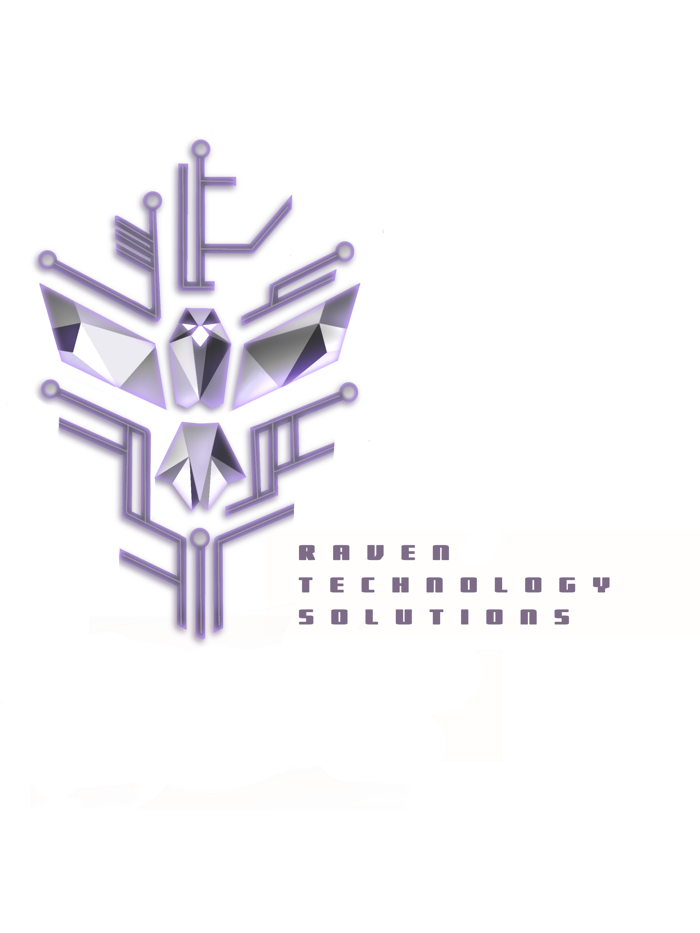 Raven Technology Solutions LLC logo
