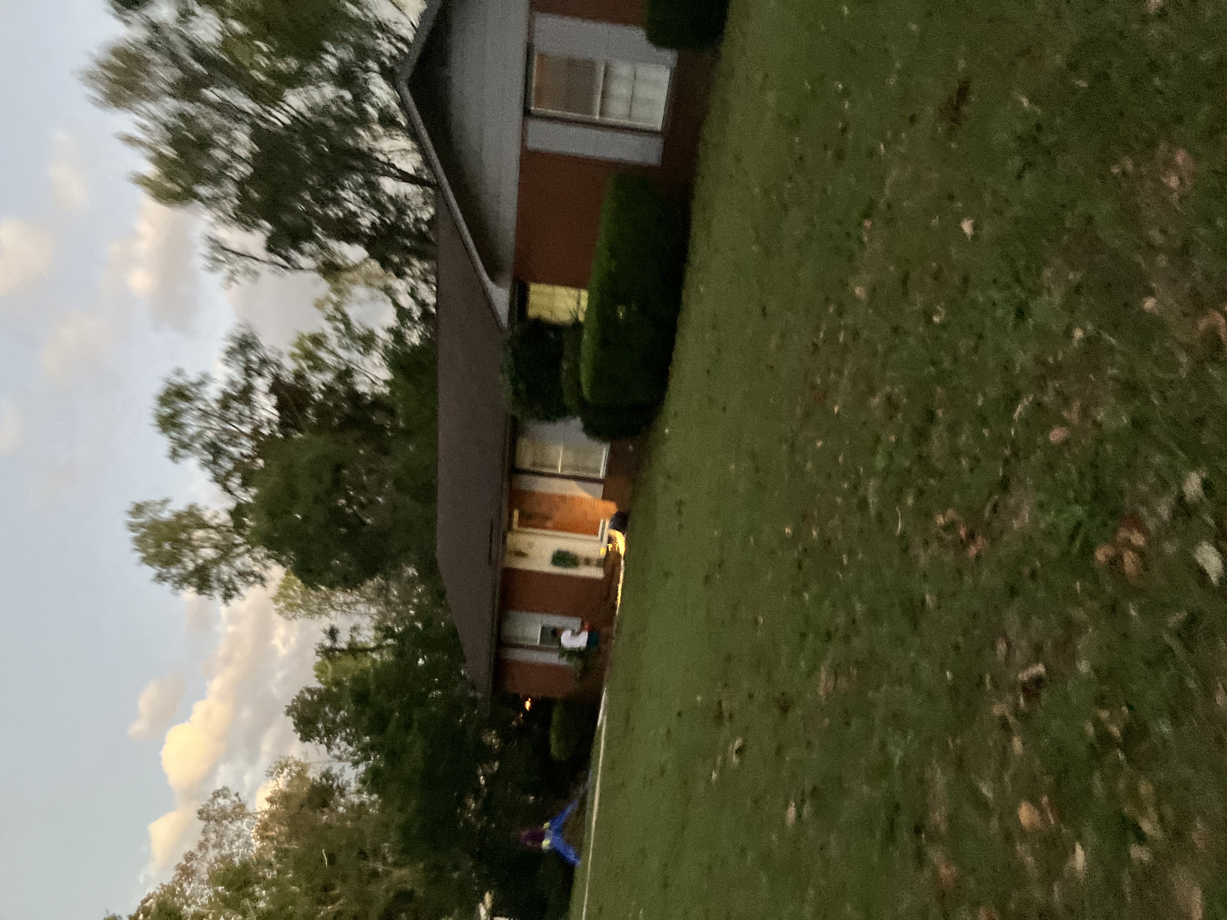 Avatar for All n Won