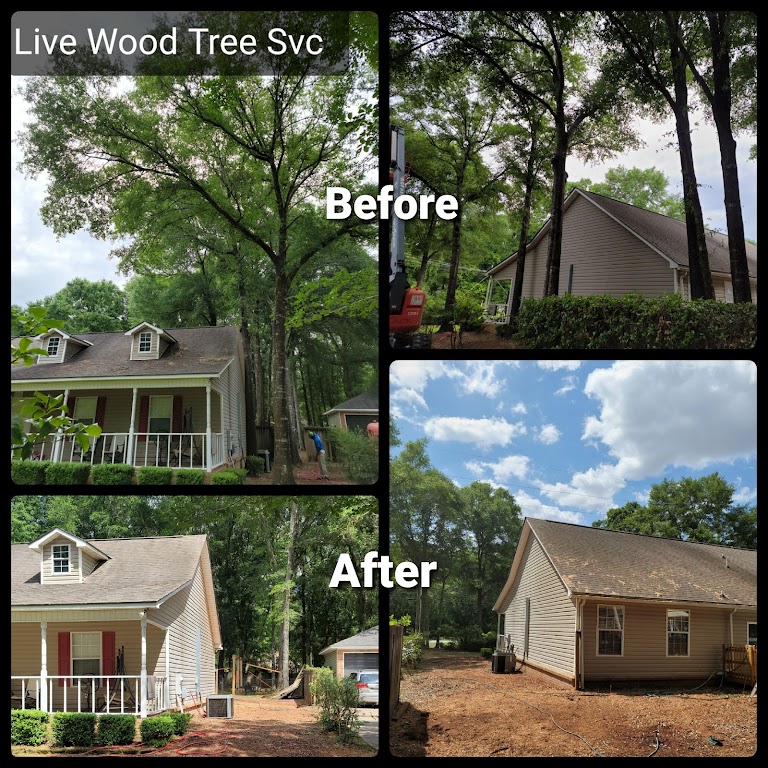 Wood's Tree Svc logo