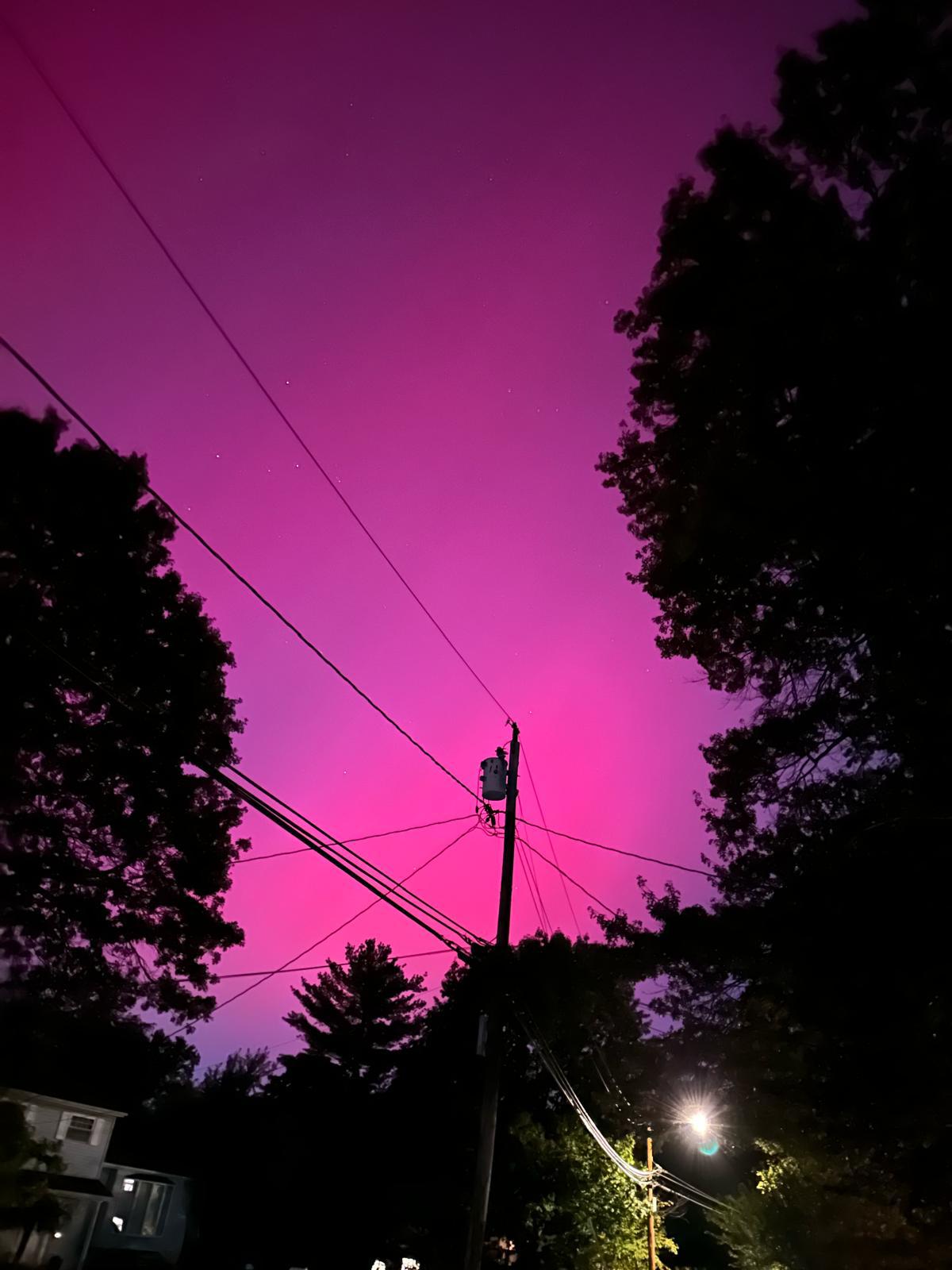 Avatar for Max Electric