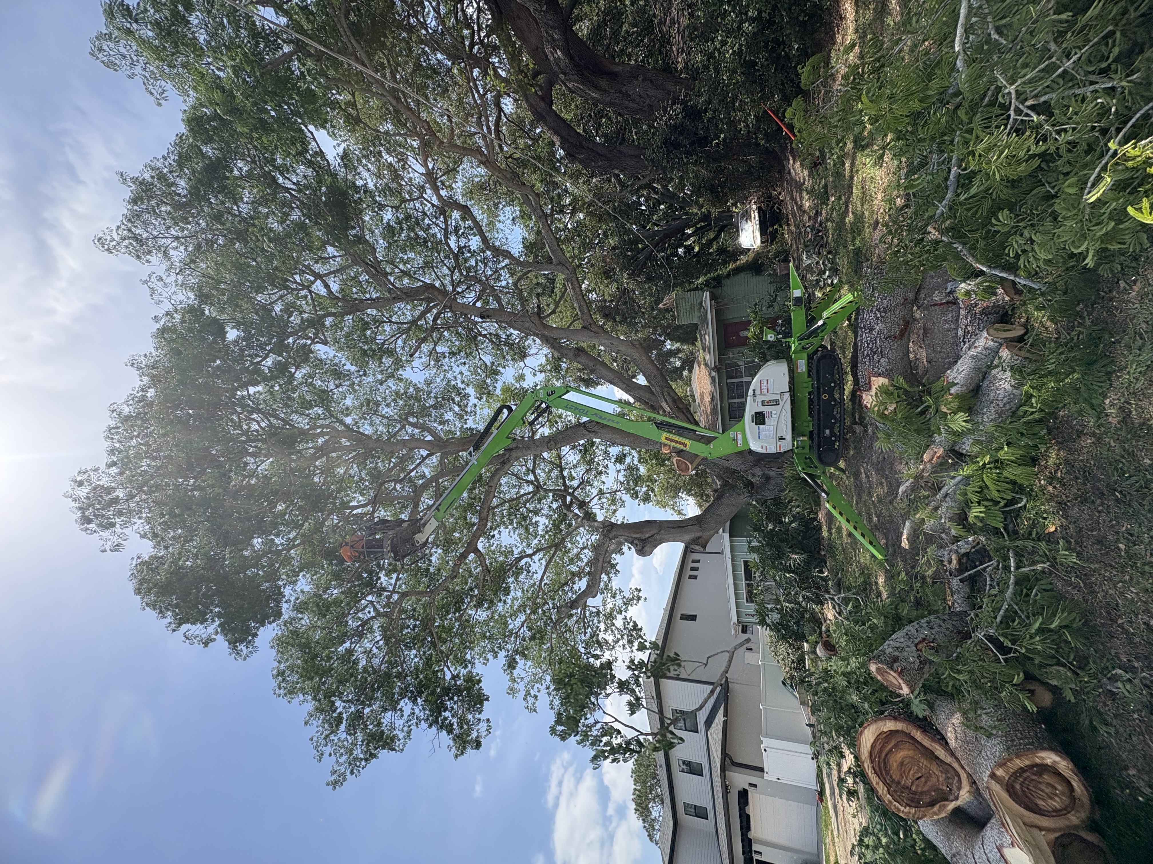 Evergreen environmental services logo