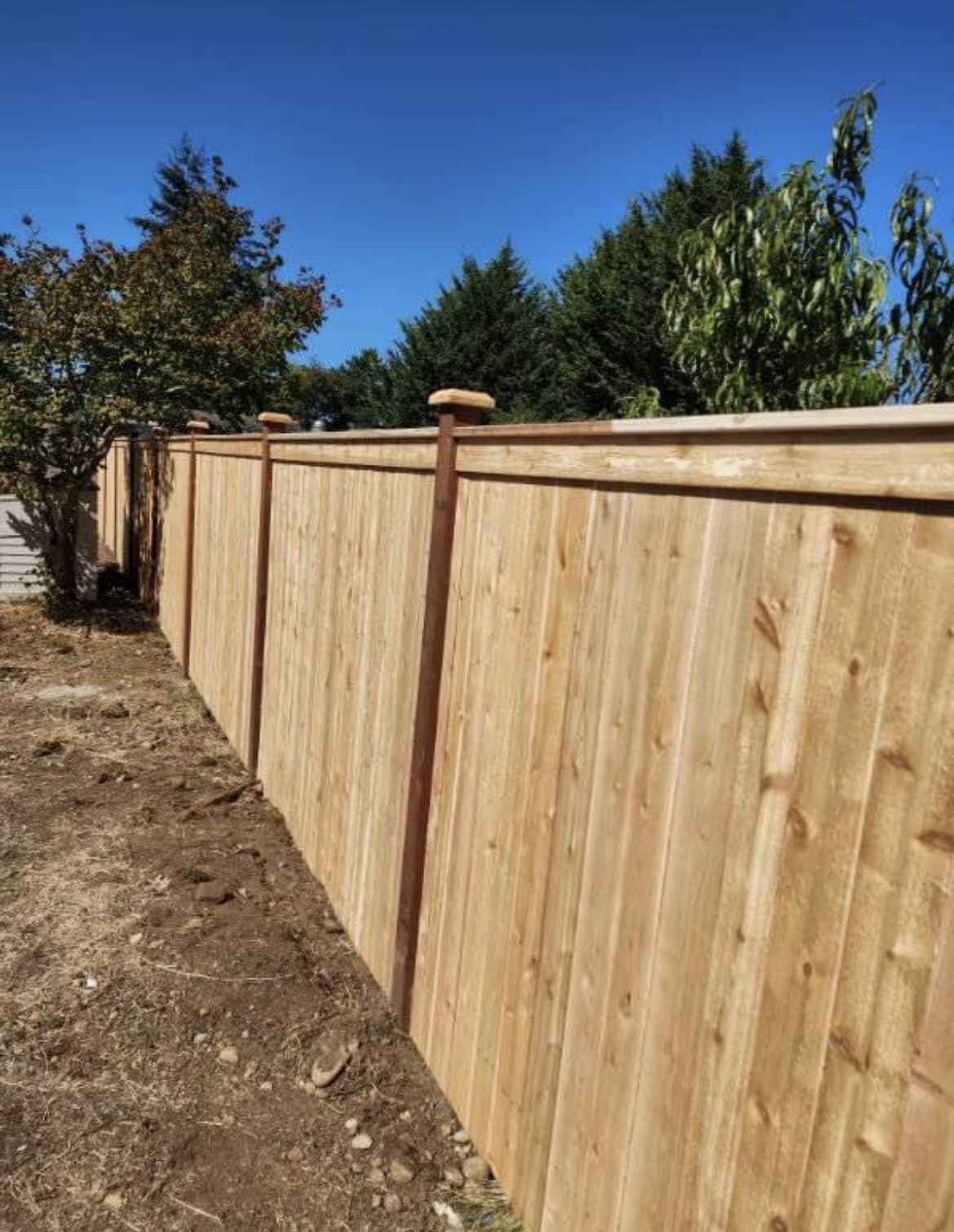 Avatar for Kings fences