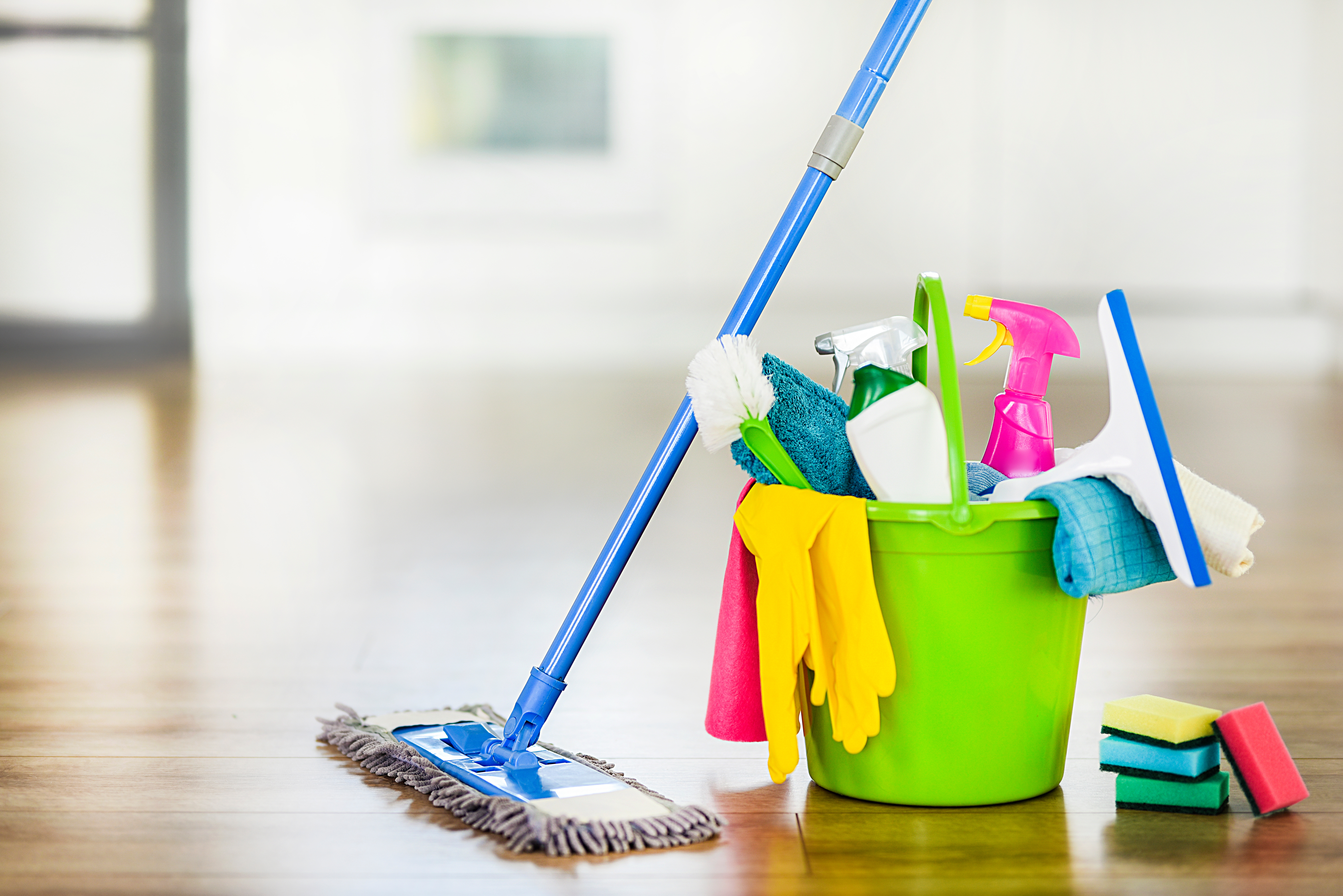 Avatar for Meshells cleaning
